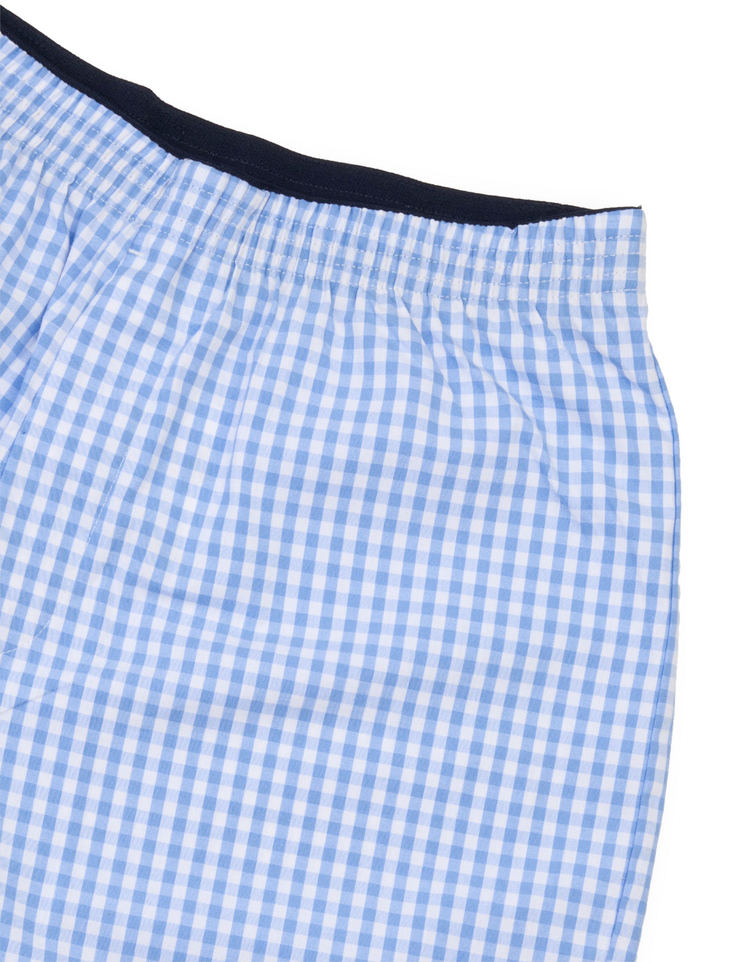 Gingham Checked OEX24 Boxer Shorts Light Blue - U.S. Polo Assn. India | Large