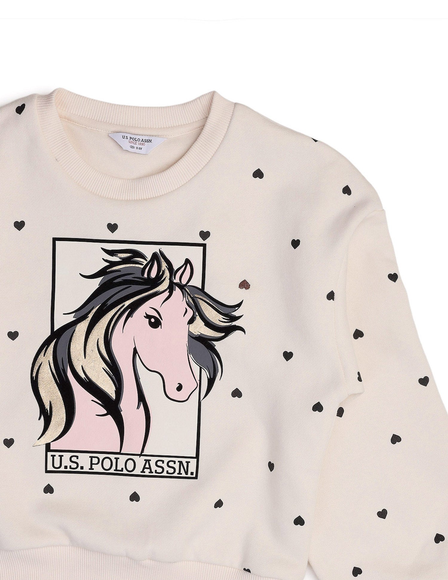 Graphic Printed Regular Fit Sweatshirt Beige - U.S. POLO ASSN. | Large