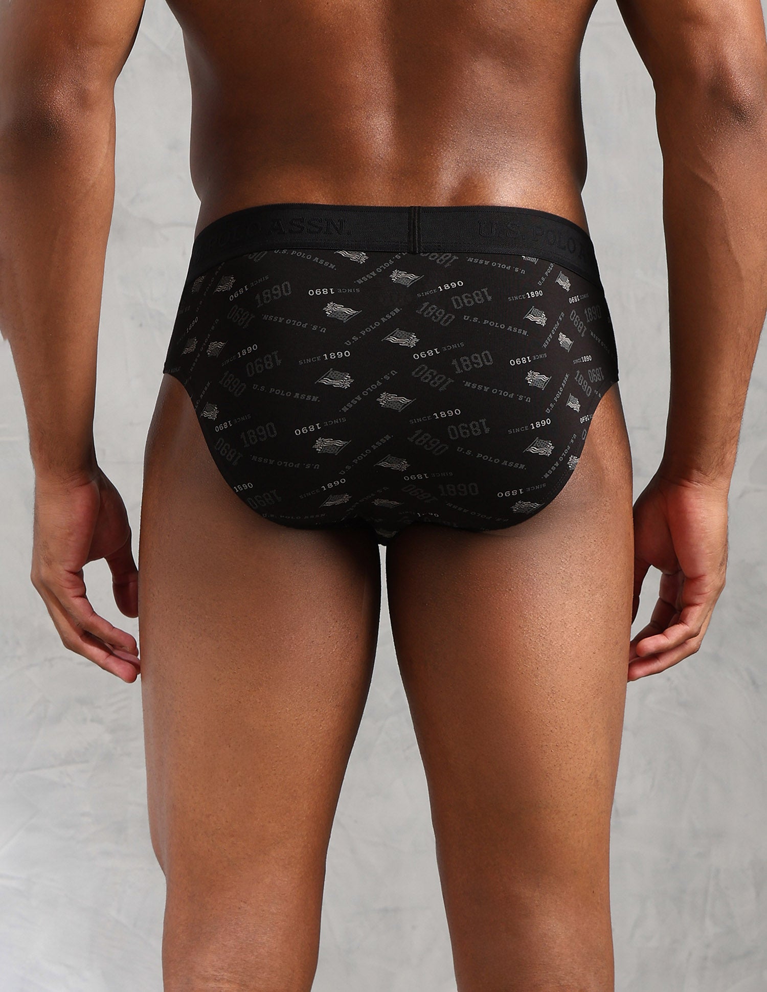 Low Rise Printed OEB16 Briefs - Pack Of 3 Grisaille, Picante and Uspa Black - U.S. POLO ASSN. | Large