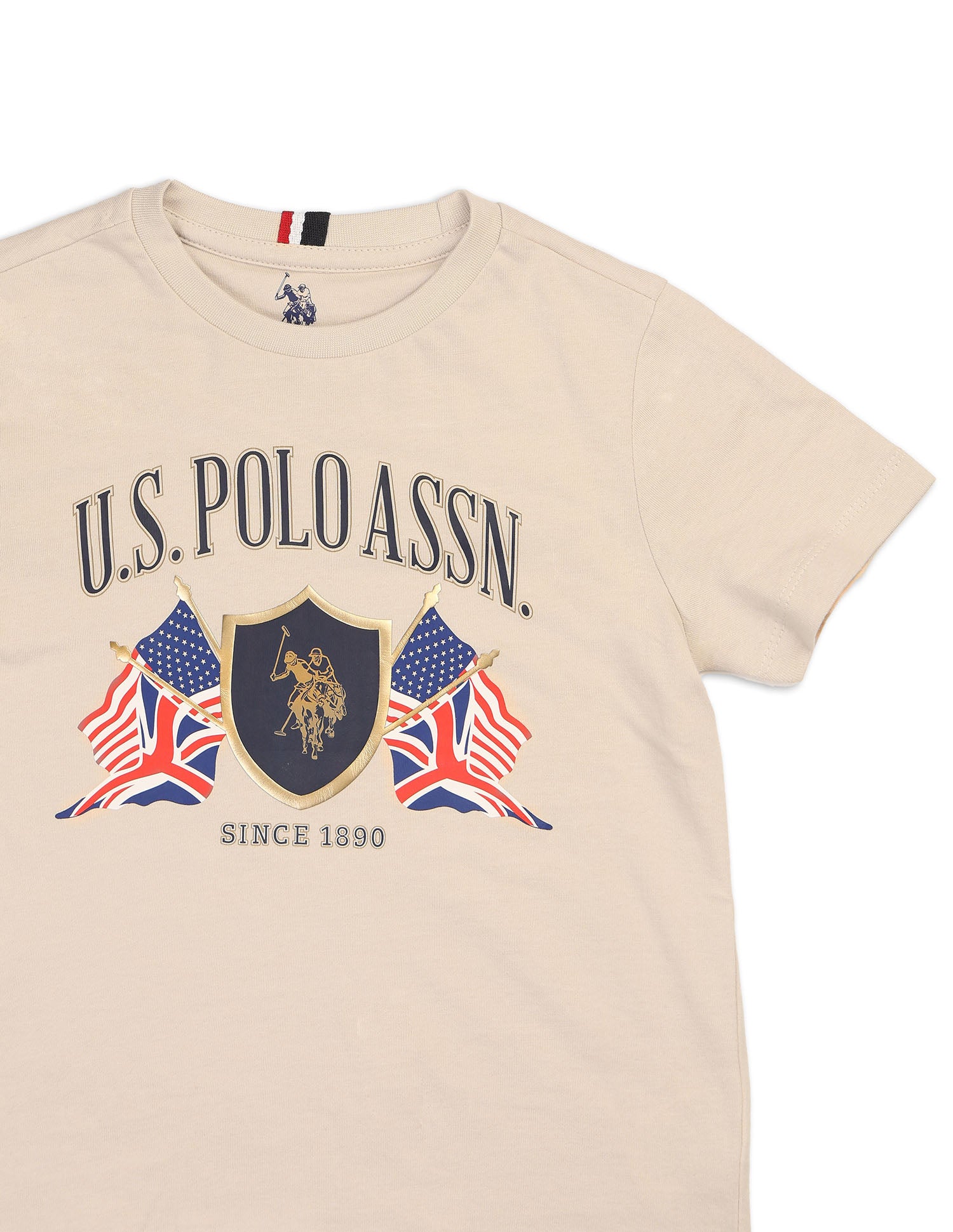 Boys Graphic Printed Pure Cotton T Shirt Beige - U.S. POLO ASSN. | Large