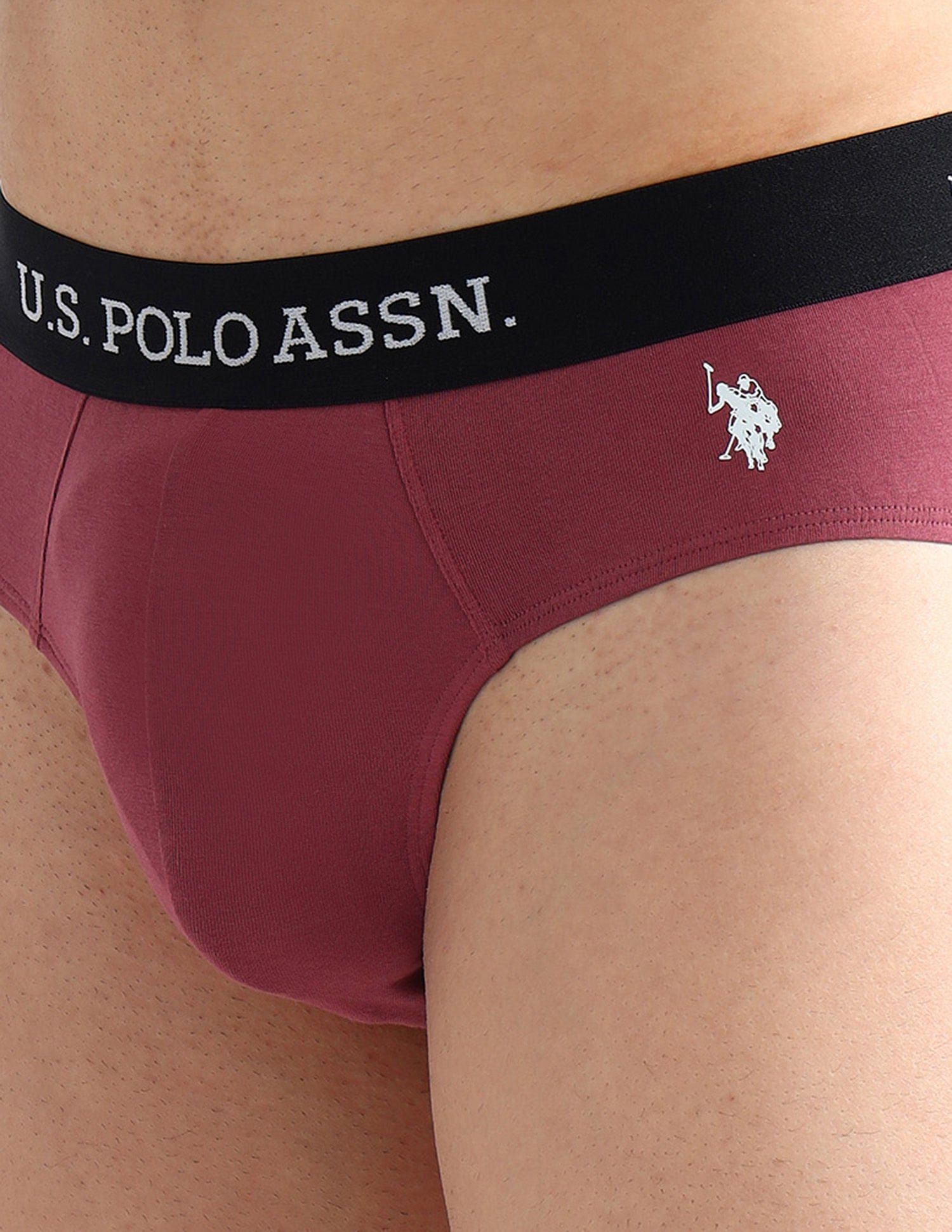 Elasticized Waist Solid OEB13 Briefs - Pack Of 3 Brown, Purple and Green - U.S. POLO ASSN. | Large