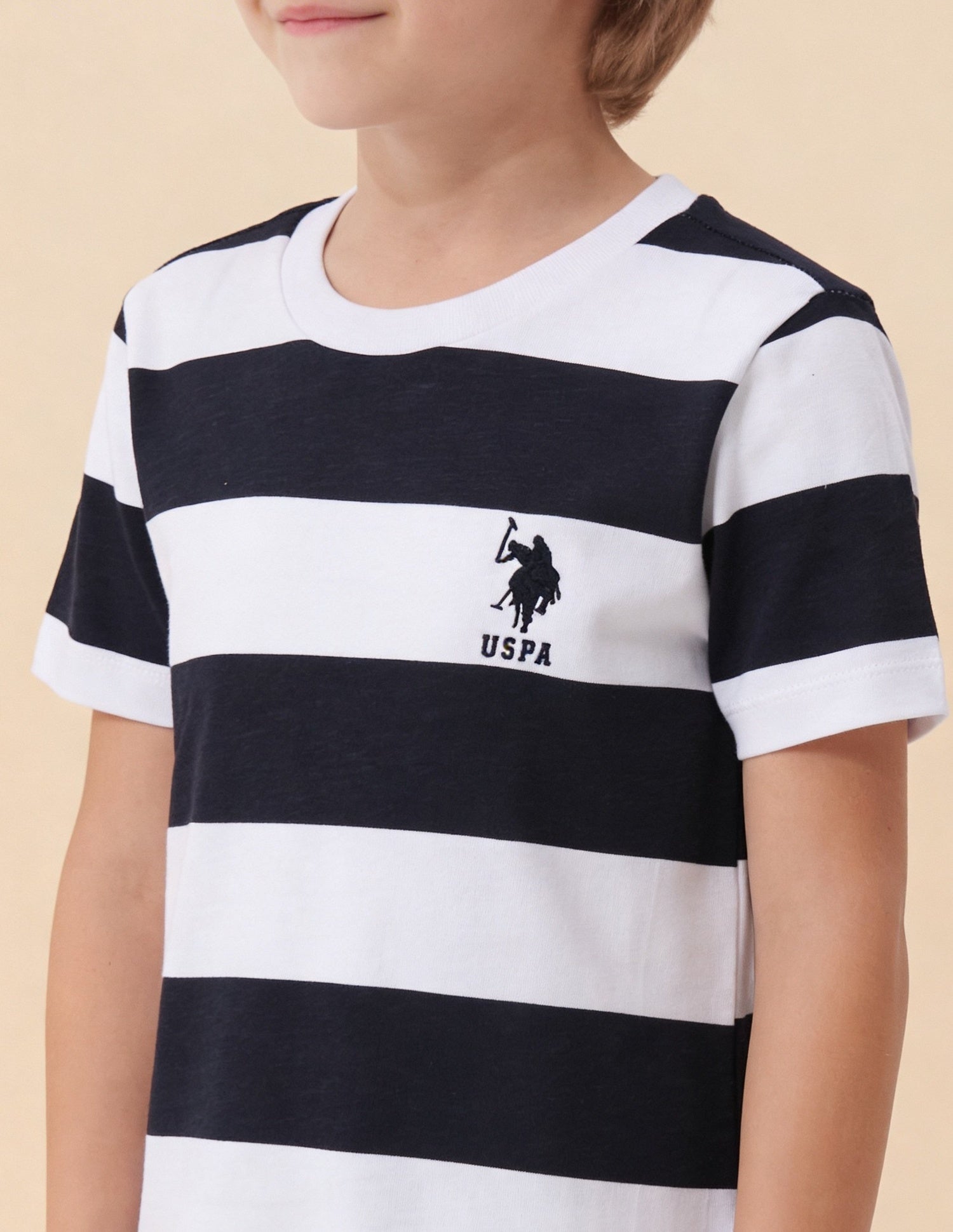 Horizontal Striped And Solid Regular Fit T-Shirt - Pack Of 2 Assorted - U.S. Polo Assn. India | Large