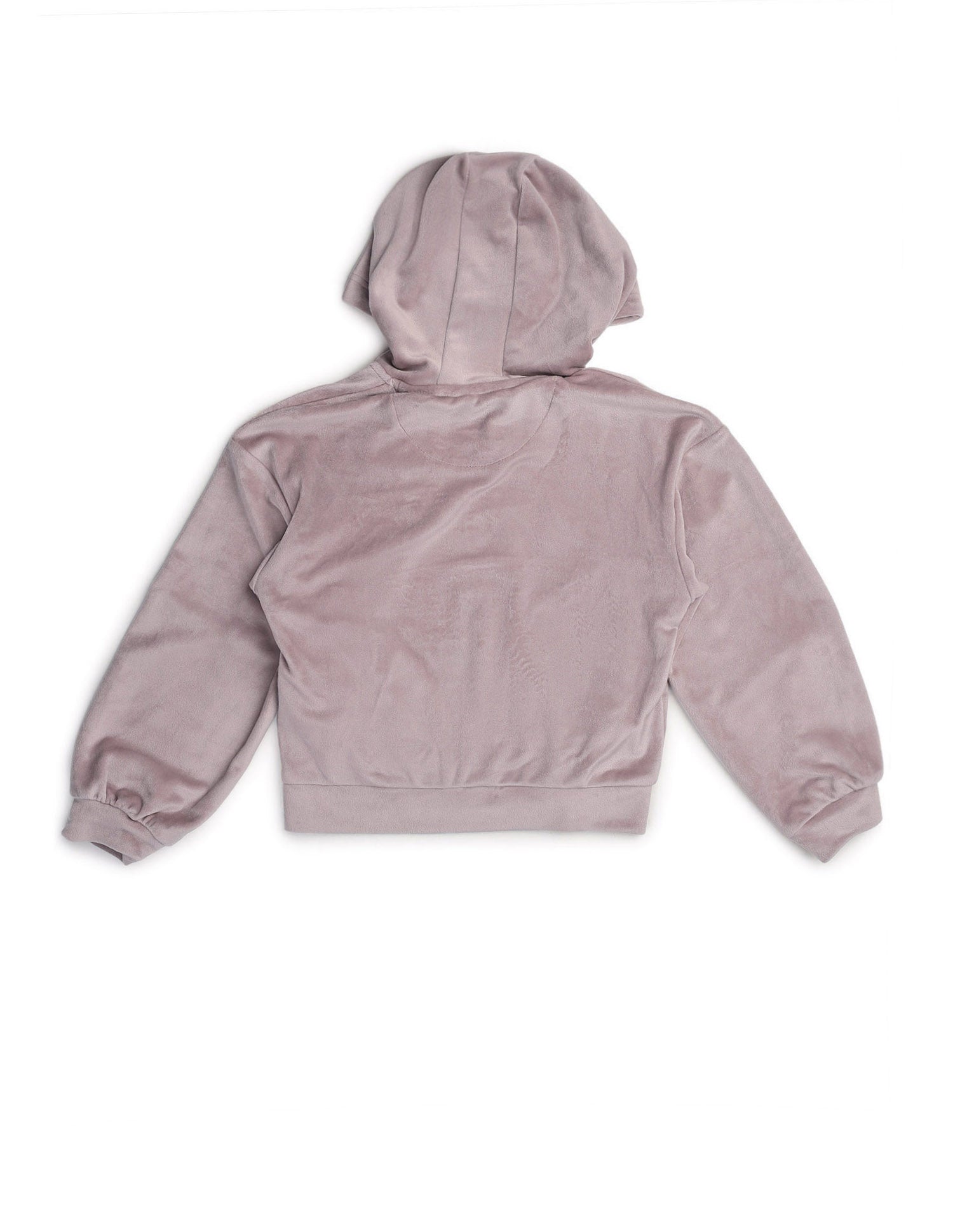 Solid Regular Fit Sweatshirt Pink - U.S. Polo Assn. India | Large