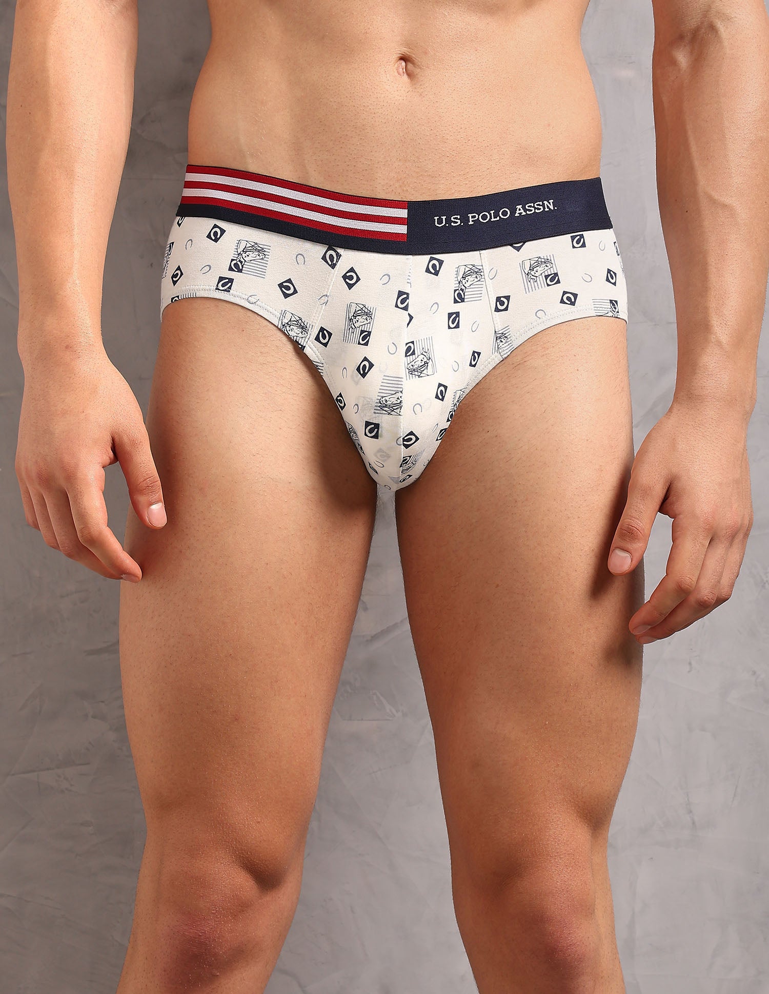 Printed Low Rise OEB20 Briefs - Pack Of 3 Ivory, Asphalight and Uspa Black - U.S. Polo Assn. India | Large