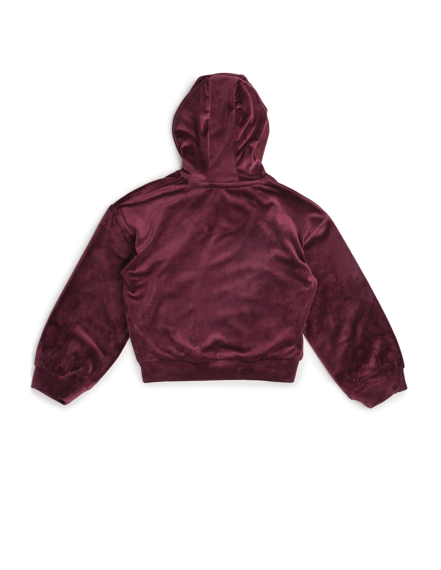 Solid Regular Fit Sweatshirt Wine - U.S. Polo Assn. India | Large