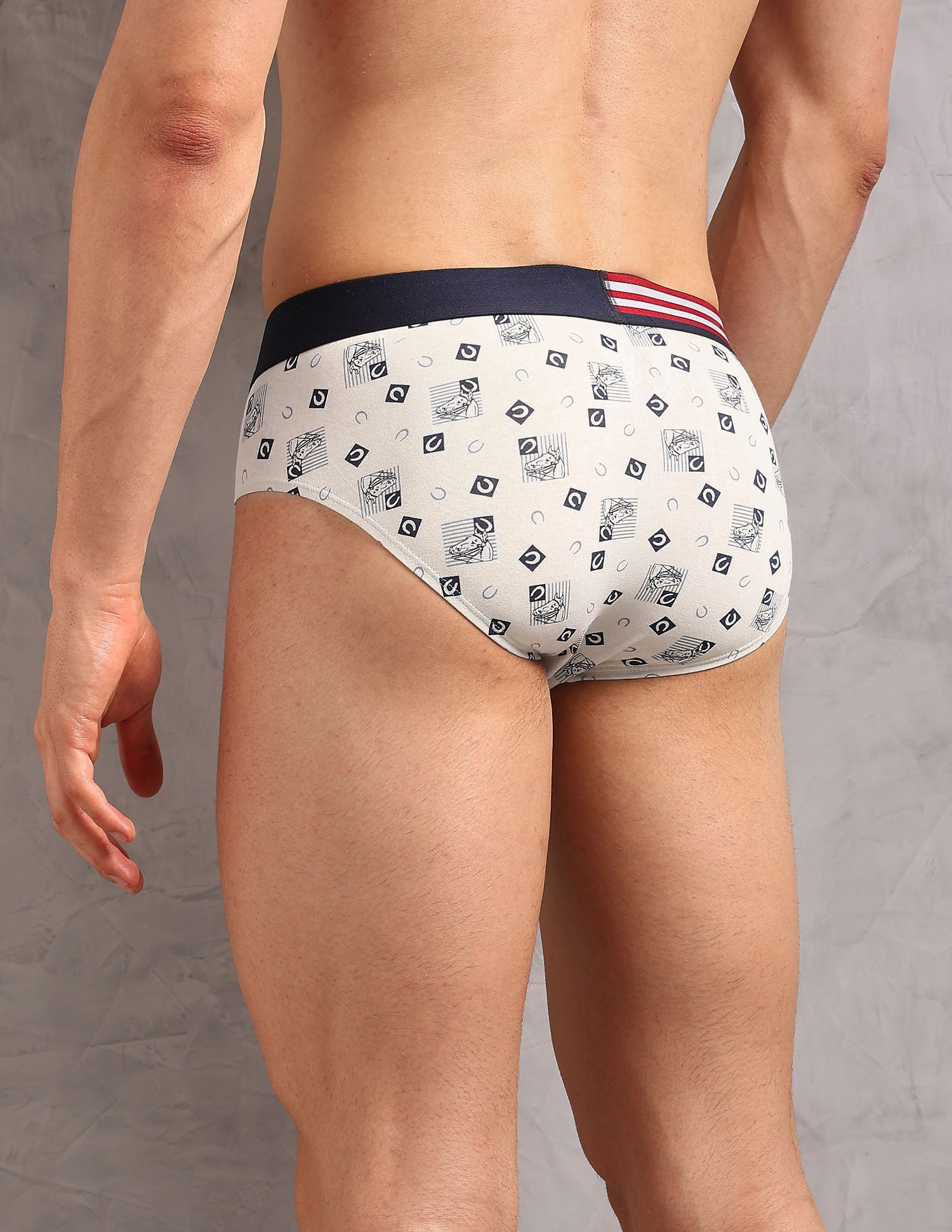 Printed Low Rise OEB20 Briefs - Pack Of 3 Ivory, Asphalight and Uspa Black - U.S. Polo Assn. India | Large