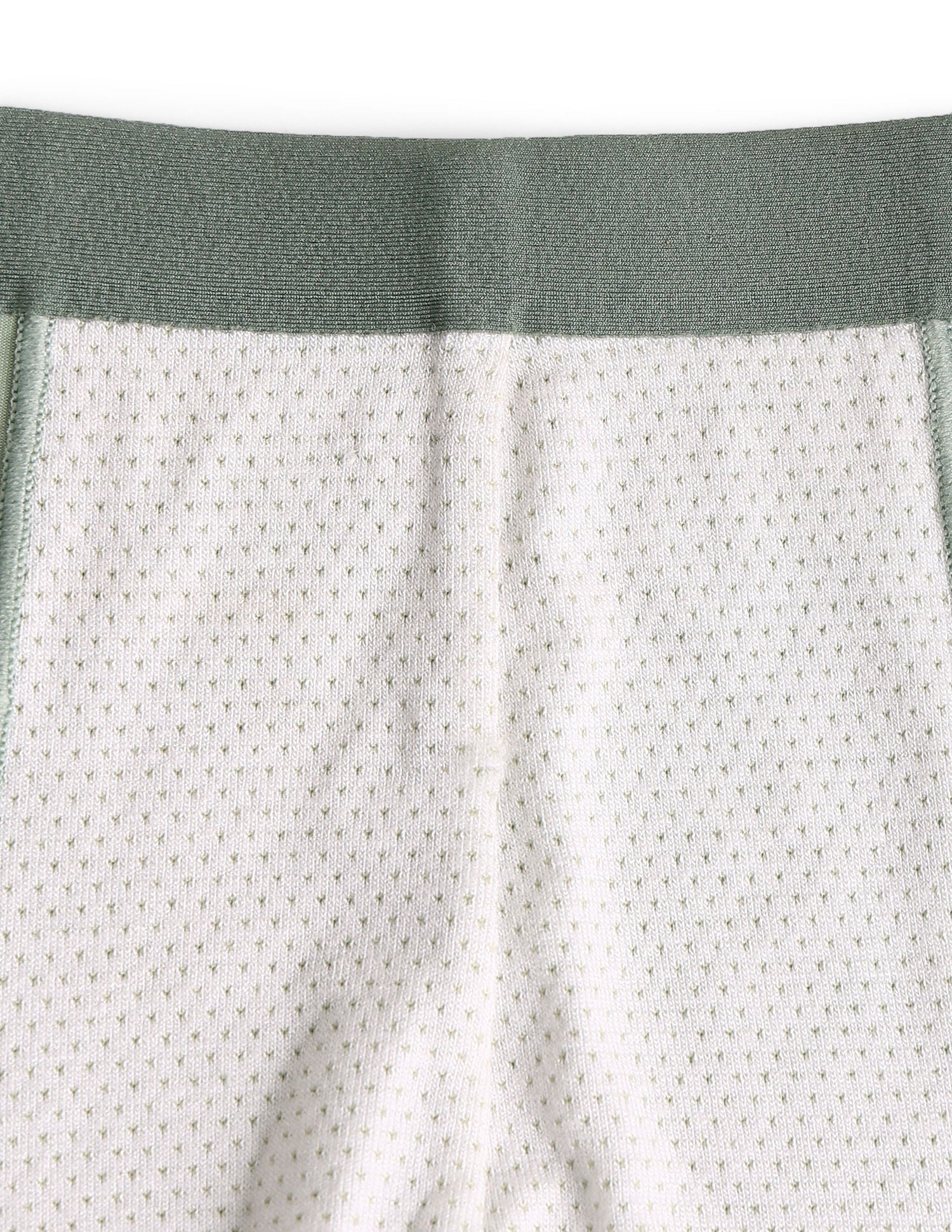 Micro Fibre Seamless Long Trunk Pastel Green - U.S. POLO ASSN. | Large