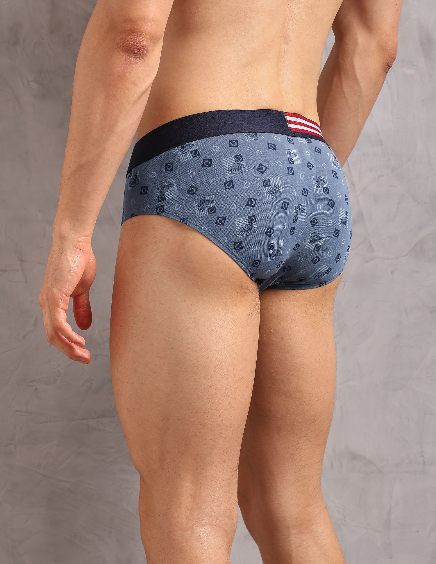 Printed Low Rise OEB20 Briefs - Pack Of 3 Orion Blue, Buring Sea and Asphalight - U.S. Polo Assn. India | Large