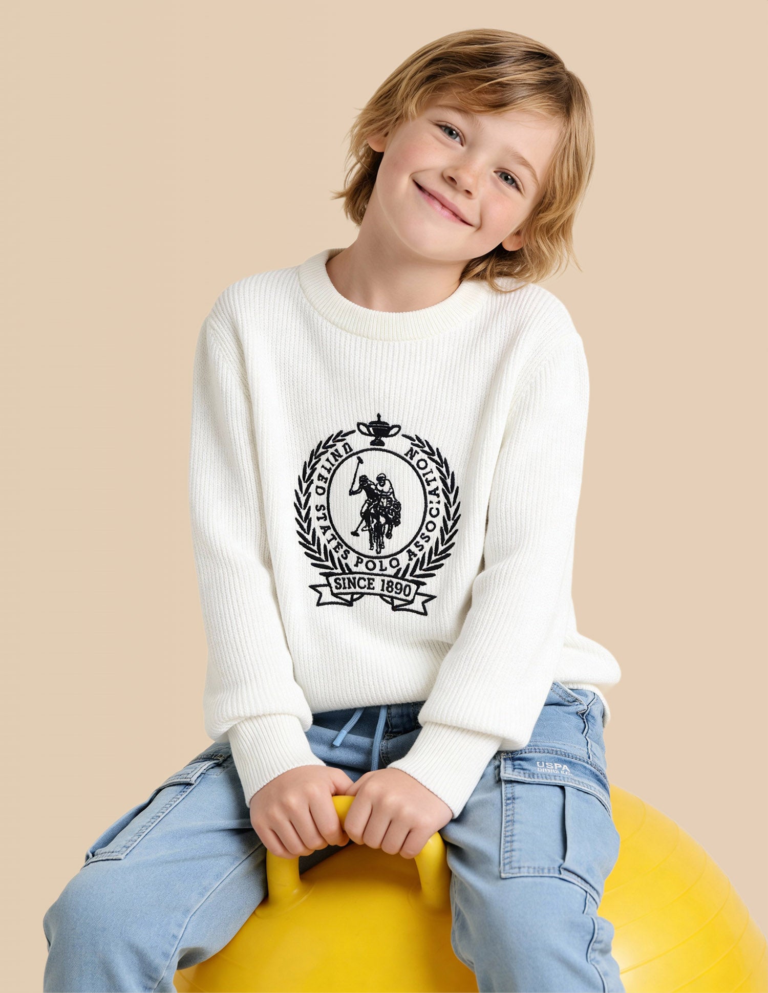 Boys Brand Embroidered Regular Fit Sweater