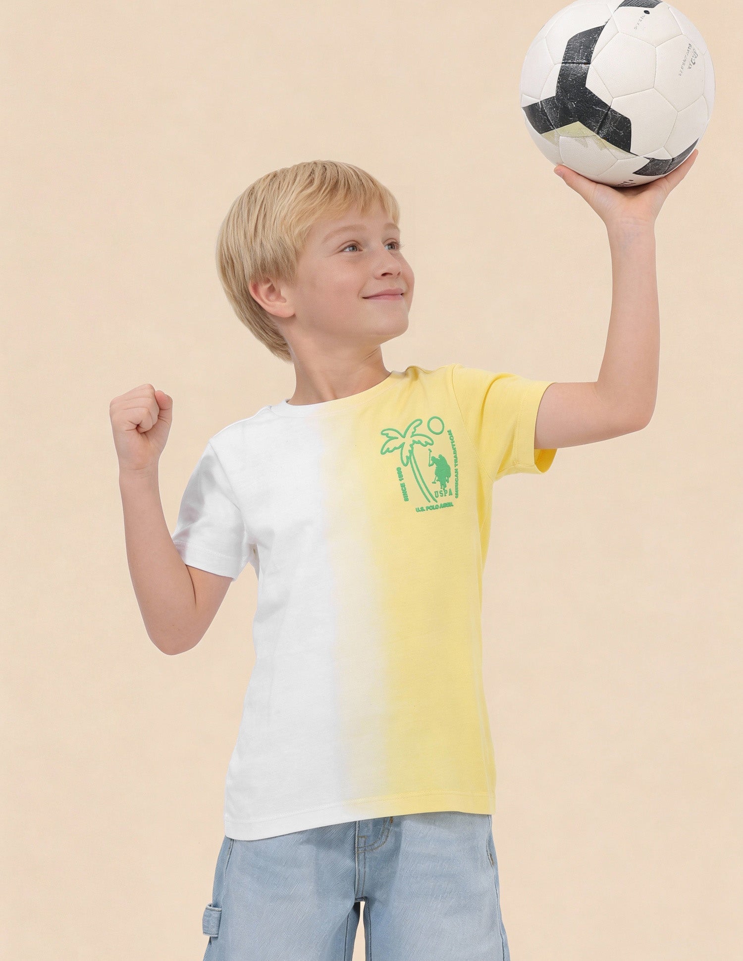 Boys Ombre Graphic Printed Regular Fit T-Shirt