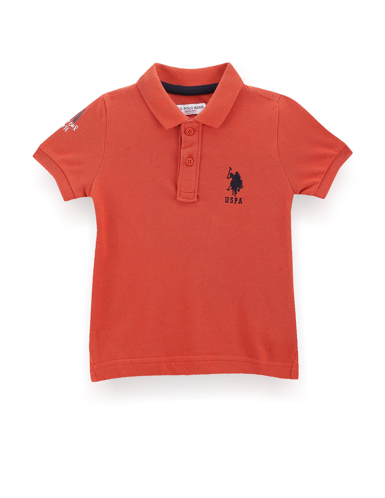 Boys Rear Graphic Cotton Polo Shirt