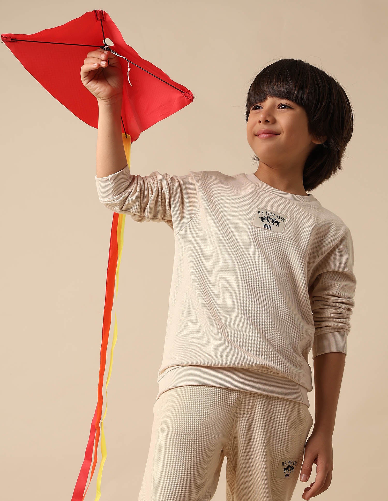 Boys Solid Regular Fit Sweatshirt