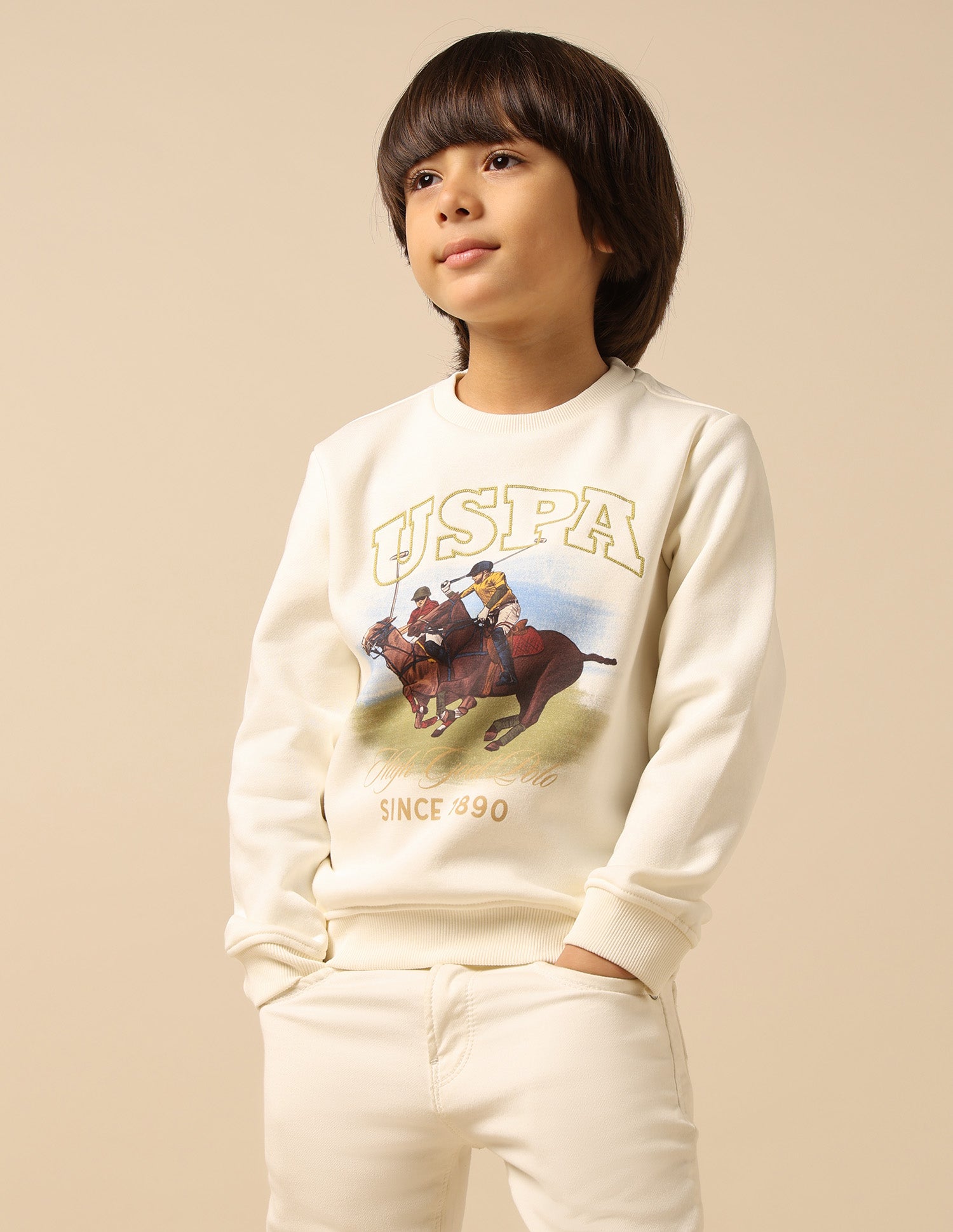 Boys Brand Printed Regular Fit Sweatshirt