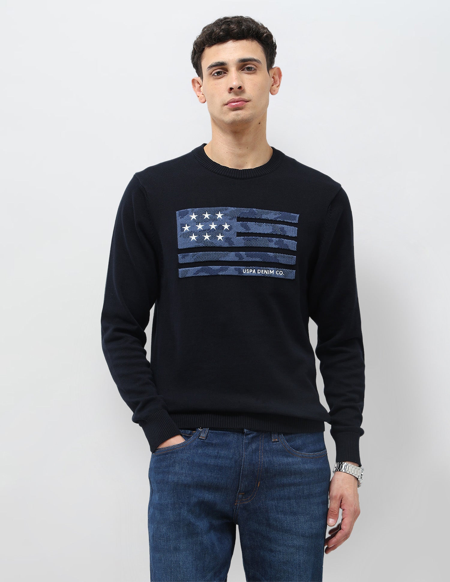 Graphic Patterned Knit Regular Fit Sweater