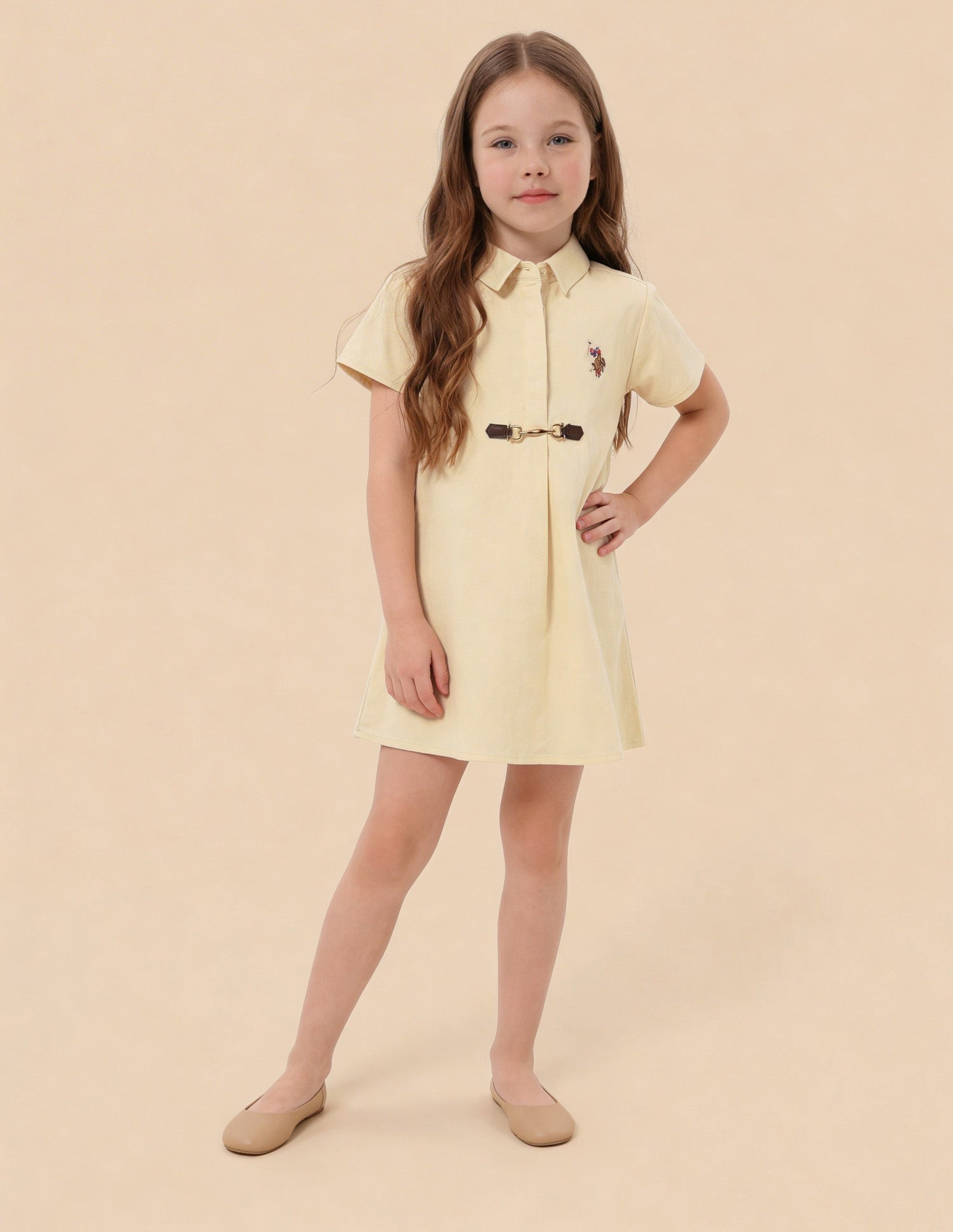 Solid Comfort Fit Shirt Dress