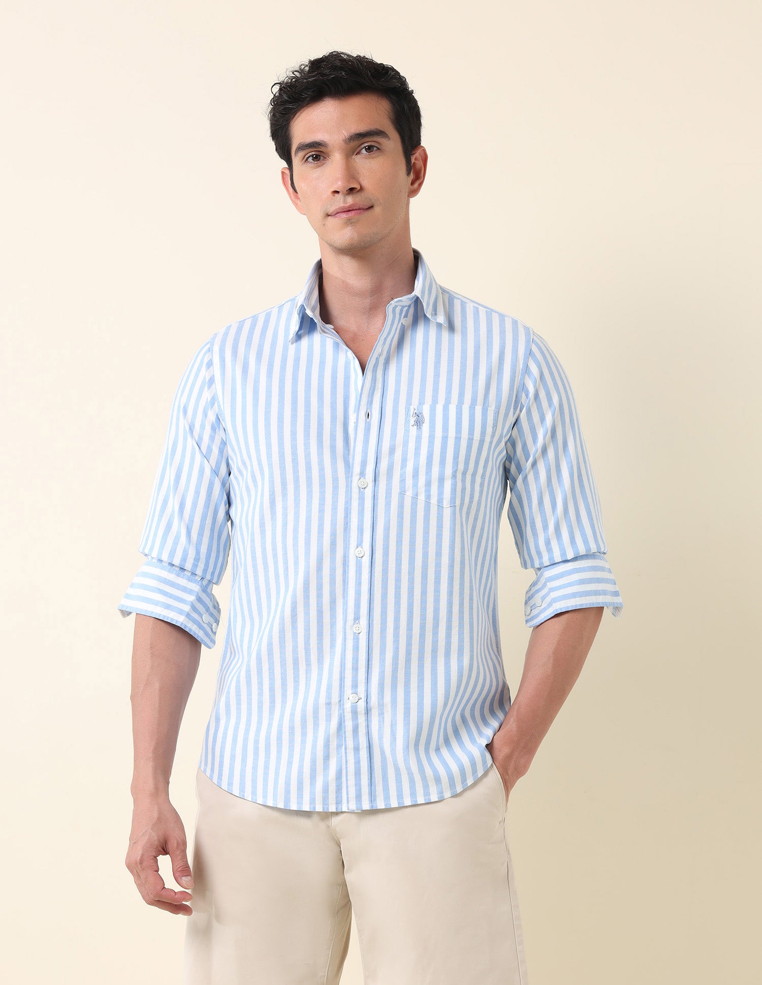 Vertical Striped Oxford Shirt