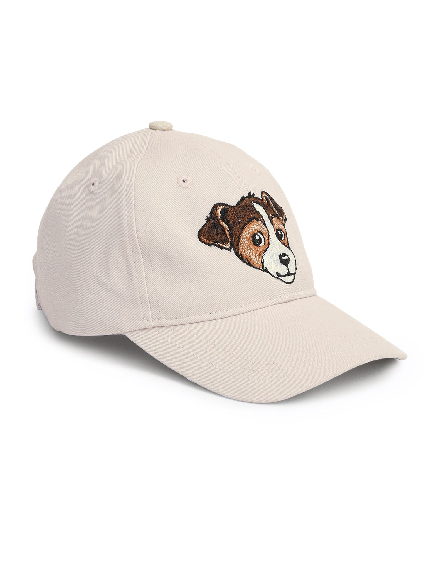 Embroidered Twill Cap Beige - U.S. Polo Assn. India | Large
