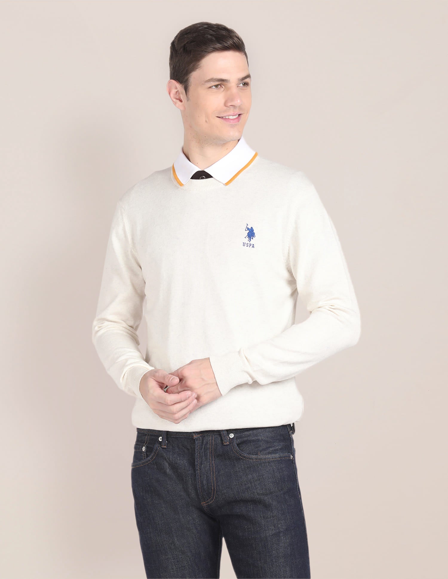 Crew Neck Solid Sweater