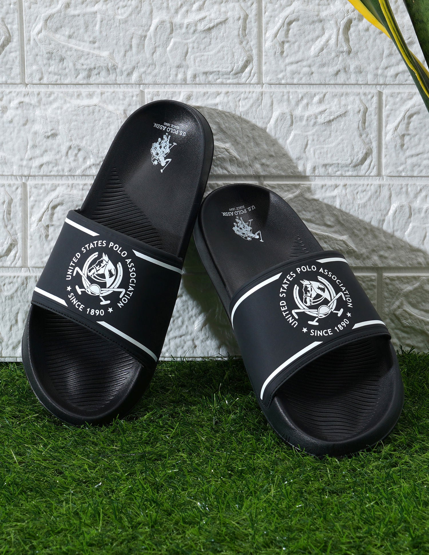 Men Brand Print Zane 5.0 Slides
