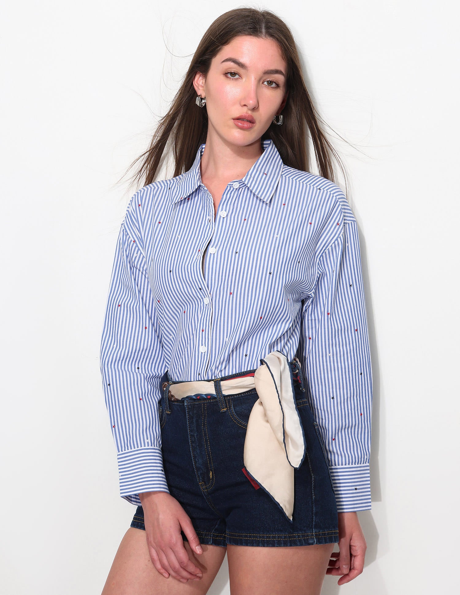 Vertical Striped Shirt With Embroidery Blue - U.S. Polo Assn. India | Large