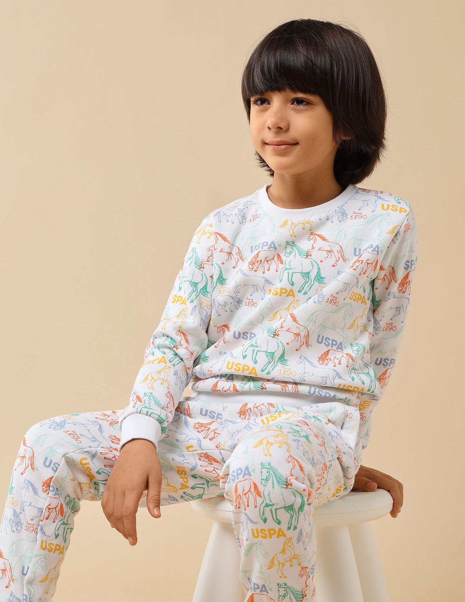 Boys Graphic Brand Printed Regular Fit Sweatshirt