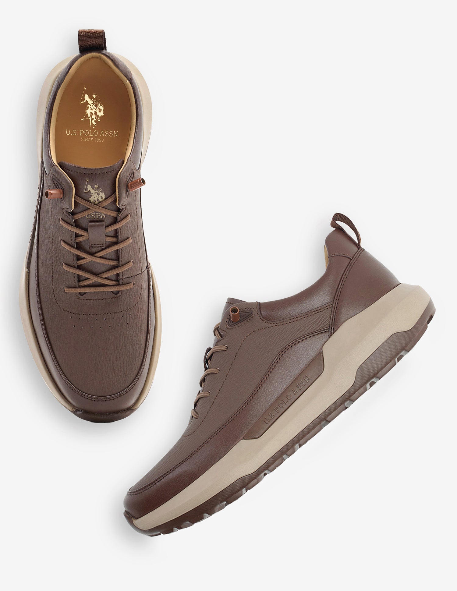 Round Toe Lace Ups Ansel 2.0 Sneakers Dark Brown - U.S. Polo Assn. India | Large