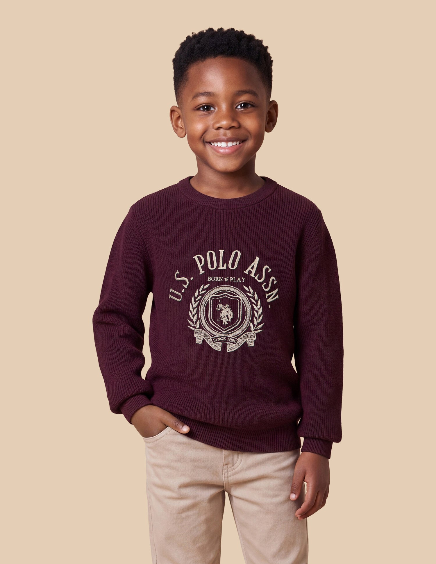 Brand Embroidered Regular Fit Sweater Wine - U.S. Polo Assn. India | Large