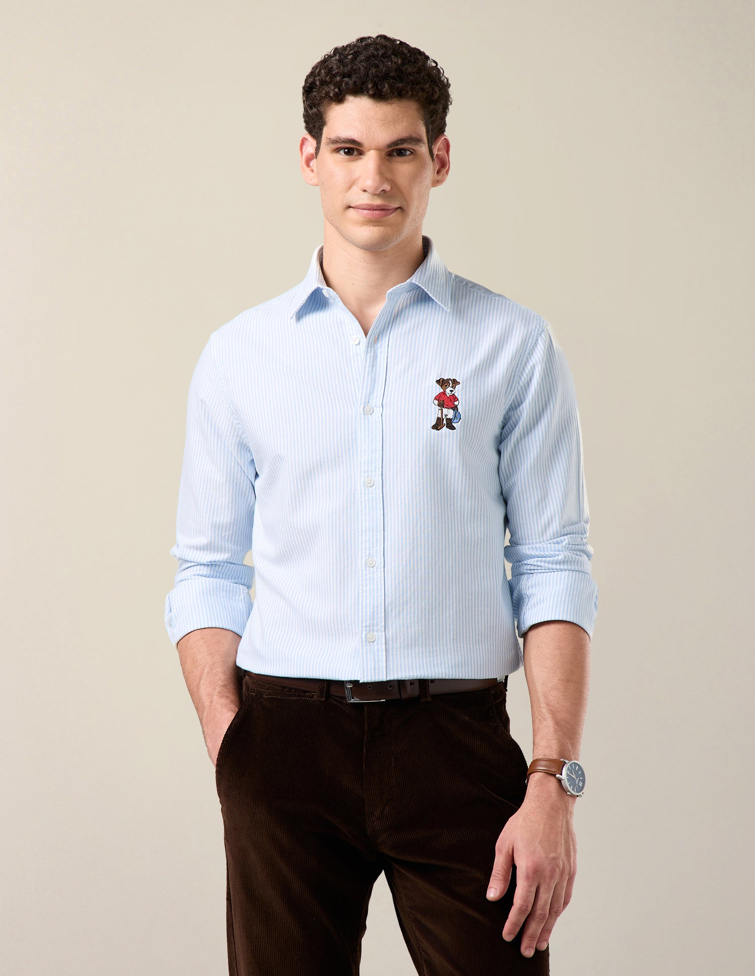 Vertical Striped Oxford Shirt Light Blue - U.S. Polo Assn. India | Large