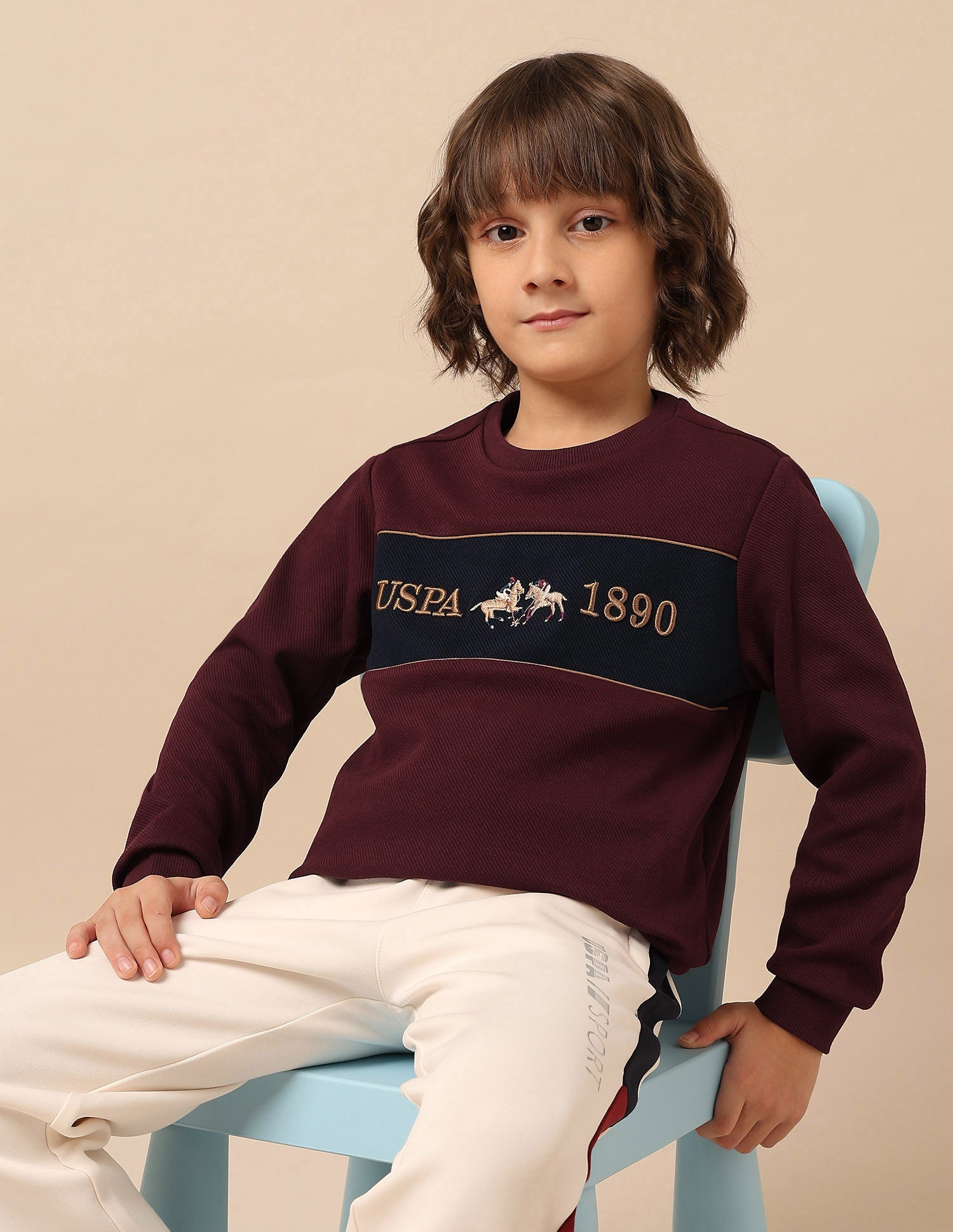 Boys Brand Embroidered Mini Me Sweatshirt