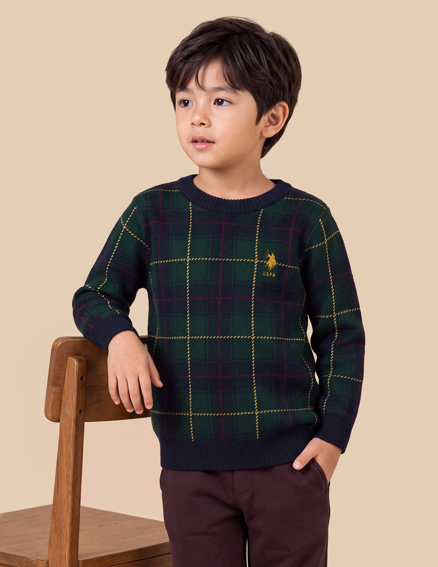 Checked Regular Fit Sweater Green - U.S. Polo Assn. India | Large
