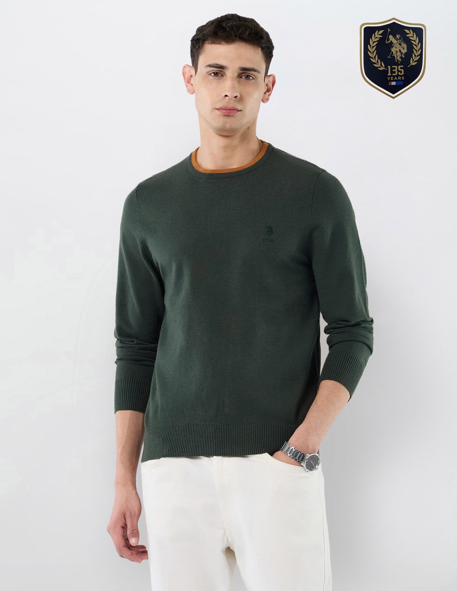 Solid Regular Fit Sweater Green - U.S. POLO ASSN. | Large