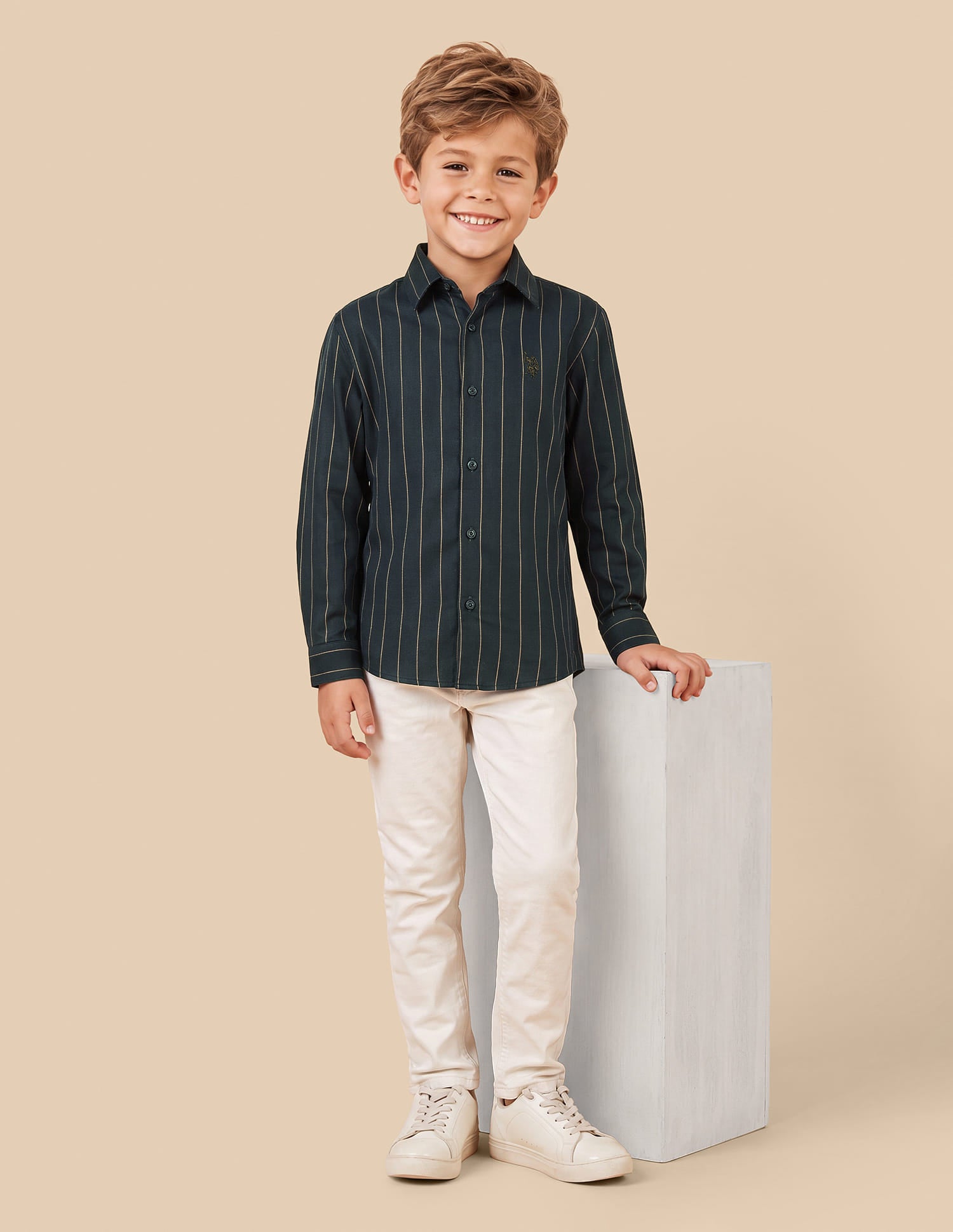 Vertical Striped Regular Fit Shirt Green - U.S. Polo Assn. India | Large