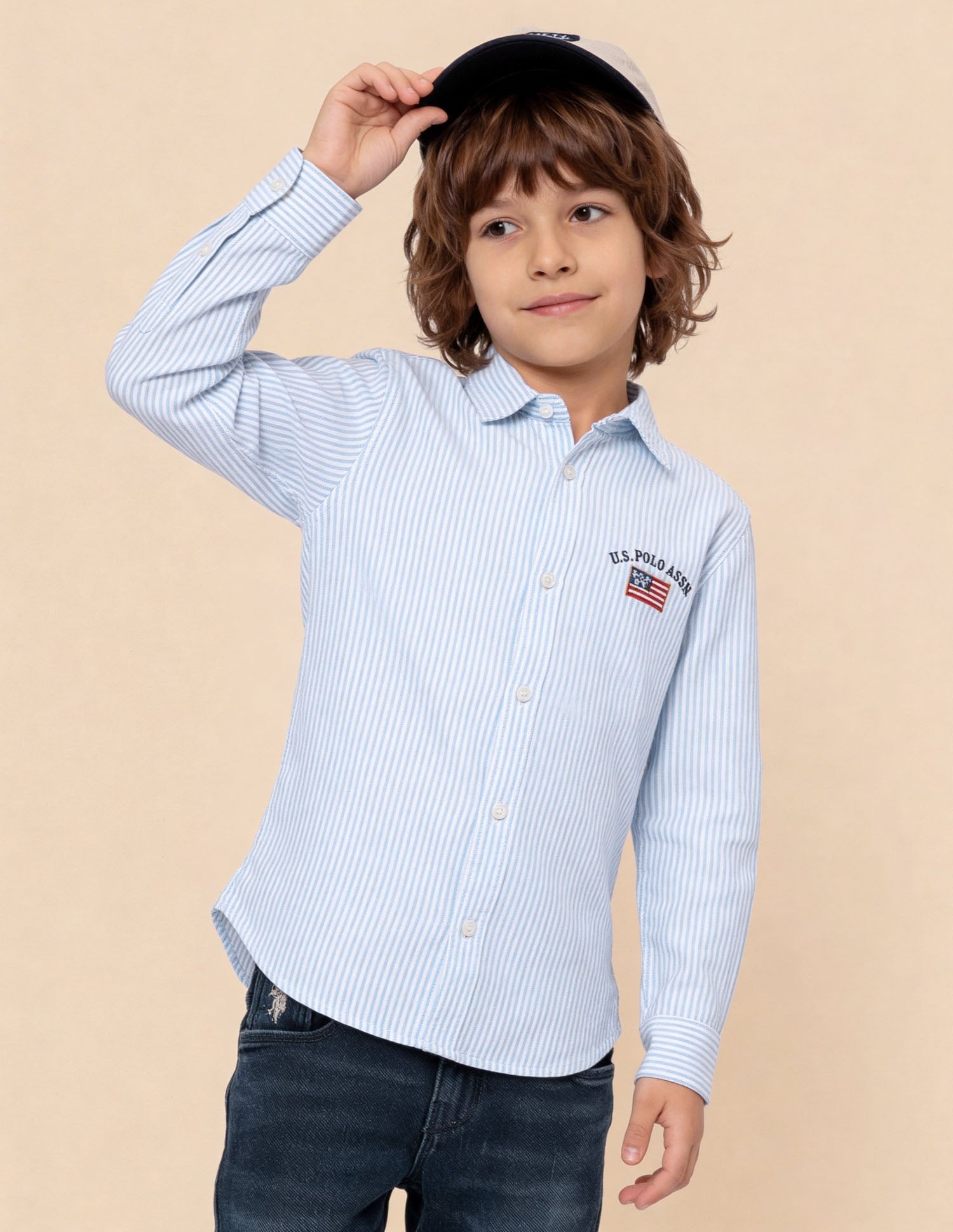 Vertical Striped Oxford Shirt Blue - U.S. Polo Assn. India | Large