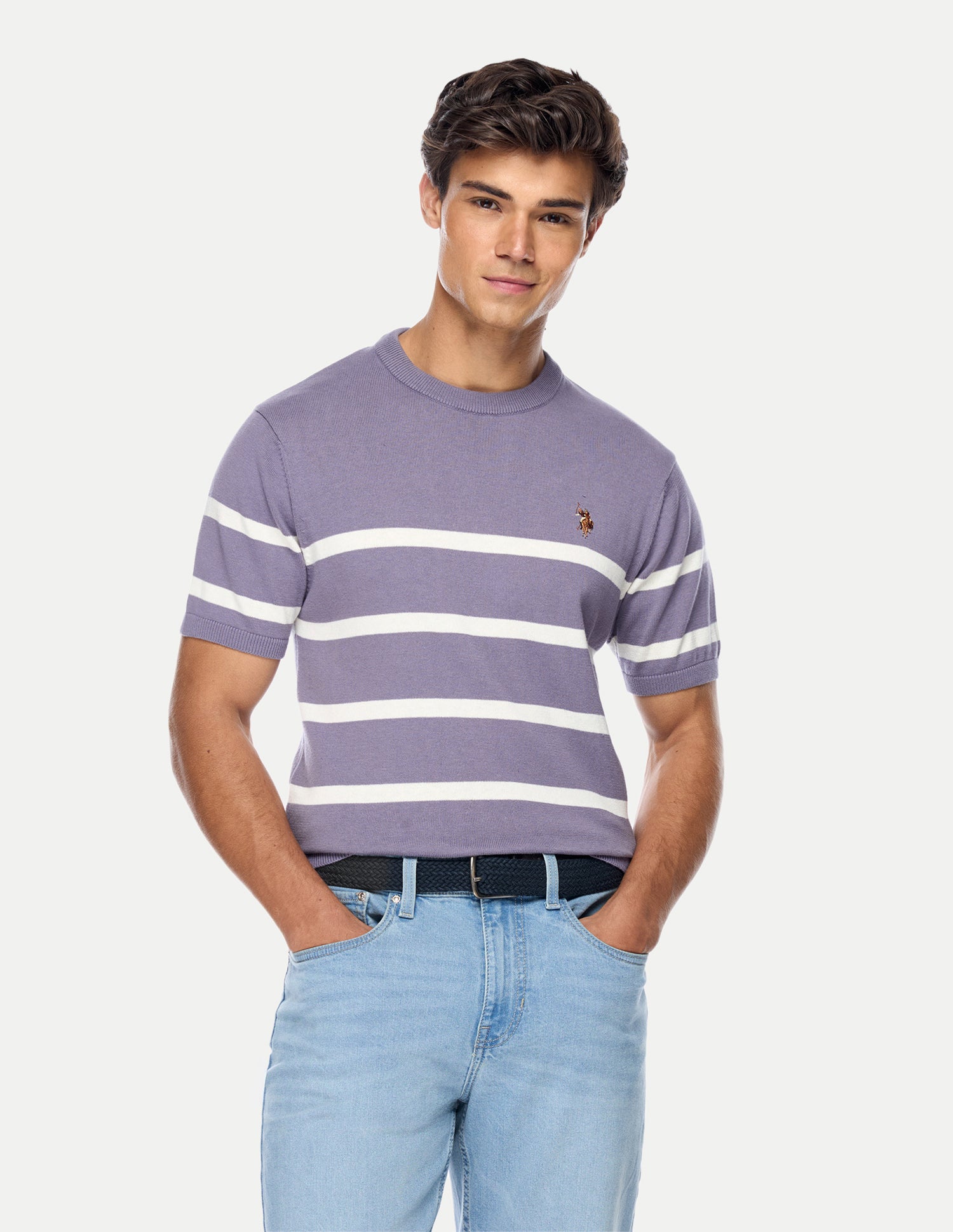 Horizontal Striped Regular Fit Sweater Purple - U.S. Polo Assn. India | Large