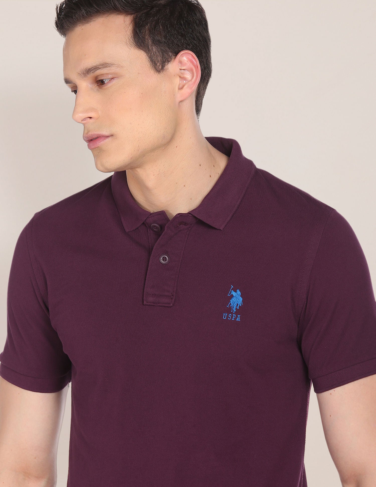 Ribbed Collar Solid Polo Shirt Plum - U.S. POLO ASSN. | Large