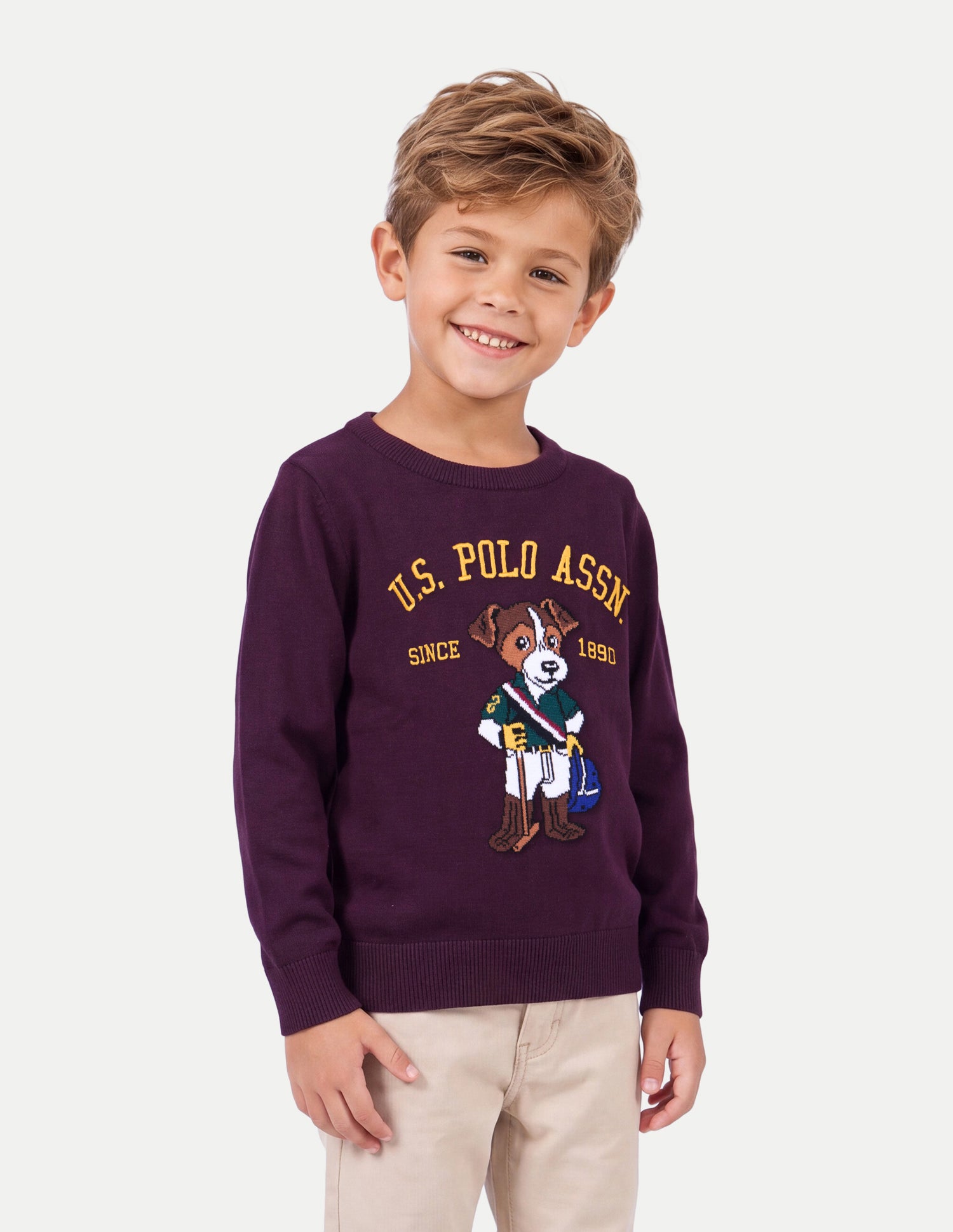 Brand Graphic Embroidered Regular Fit Sweater Wine - U.S. Polo Assn. India | Large
