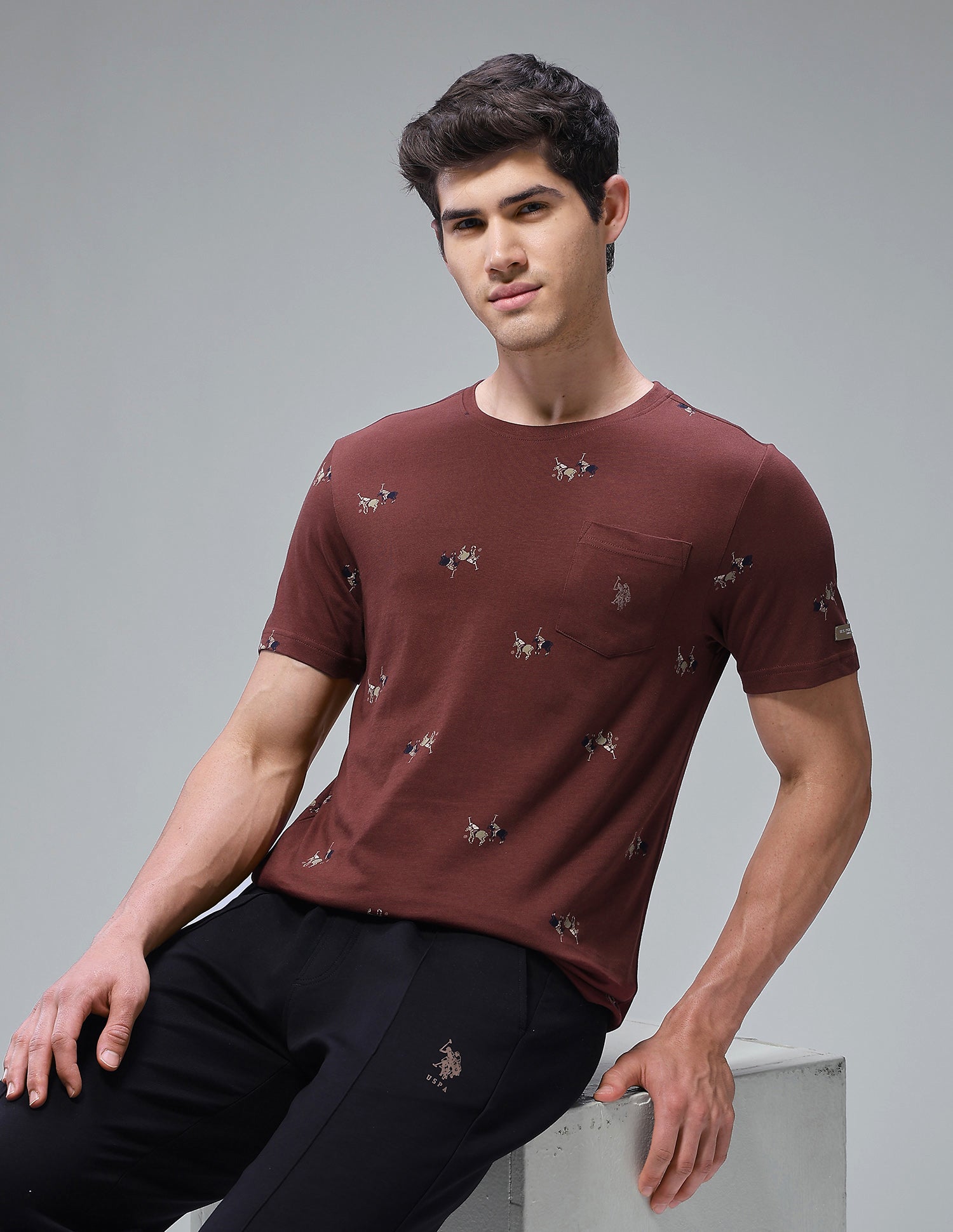 Graphic Brand Printed Regular Fit Loungewear T-Shirt Sable - U.S. Polo Assn. India | Large