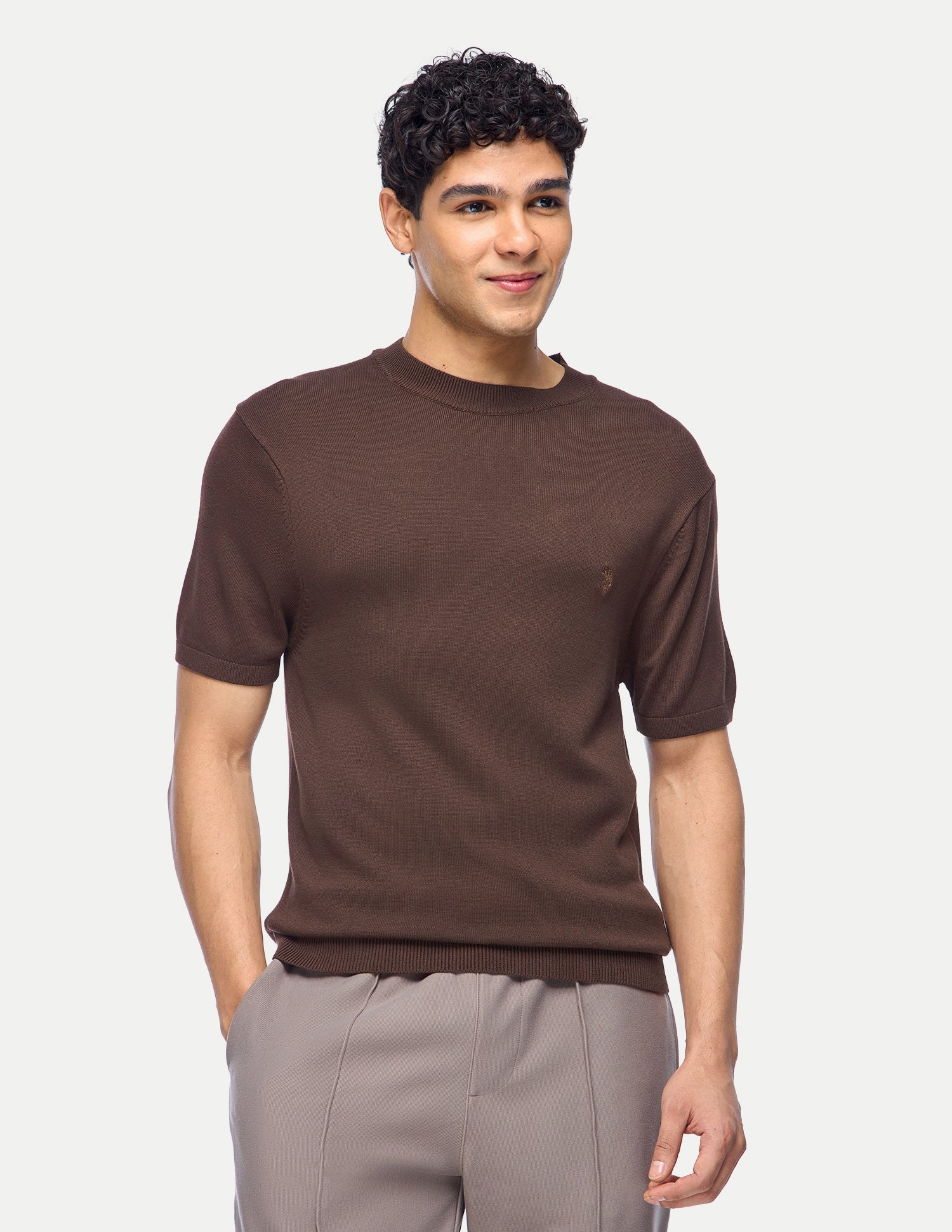 Solid Slim Fit T-Shirt Dark Brown - U.S. Polo Assn. India | Large