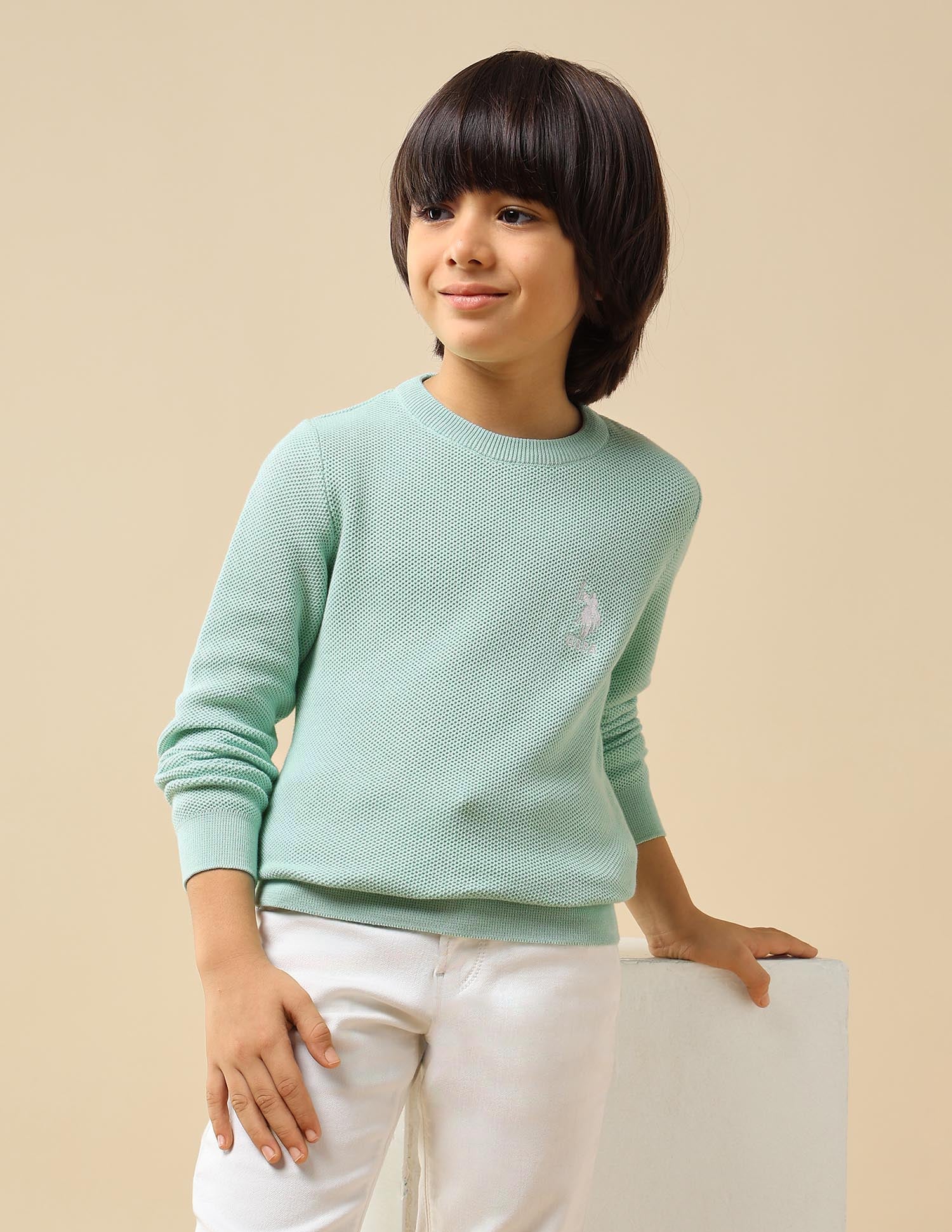 Boys Textured Regular Fit Sweater