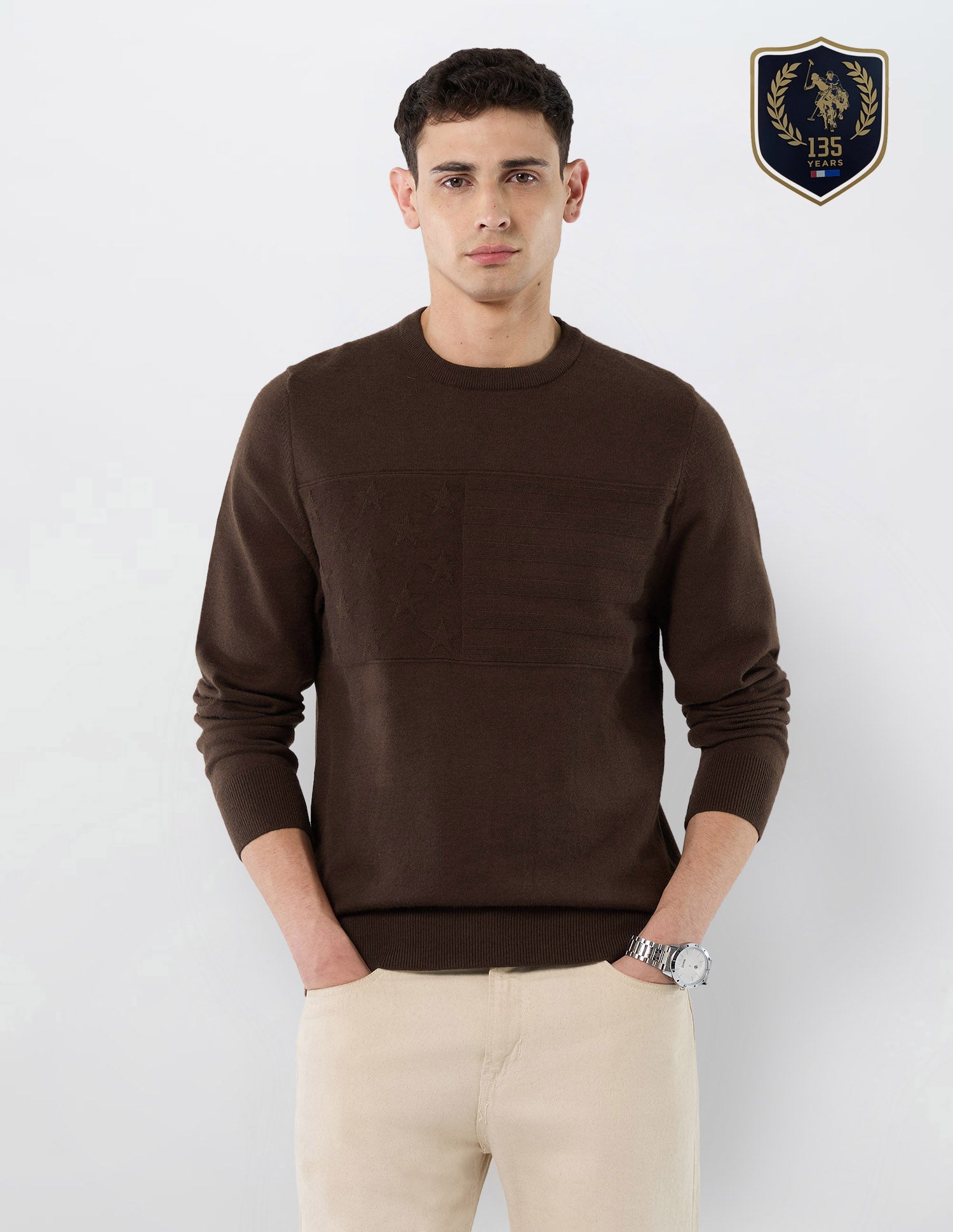 Patterned Knit Regular Fit Sweater