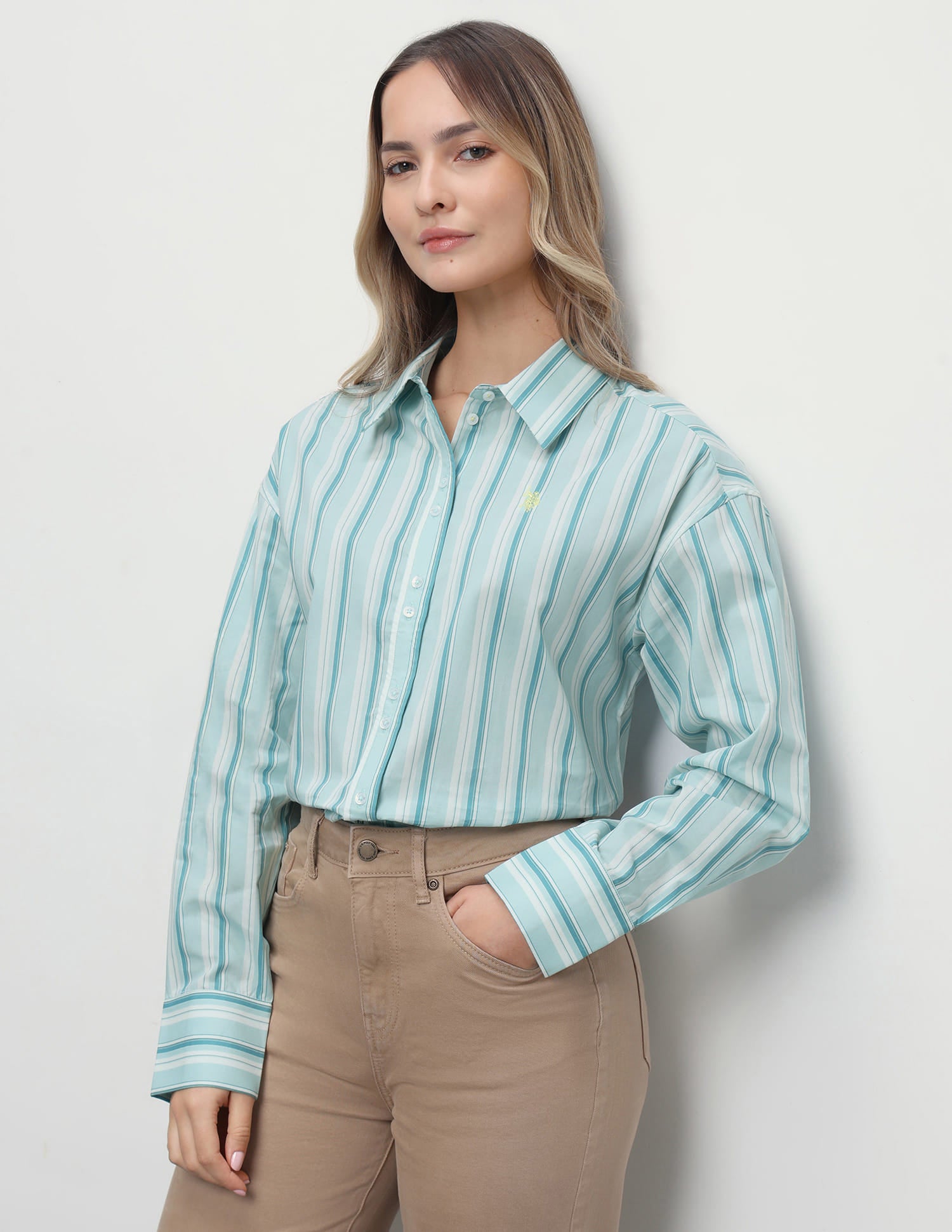 Vertical Striped Boyfriend Fit Shirt Green - U.S. Polo Assn. India | Large
