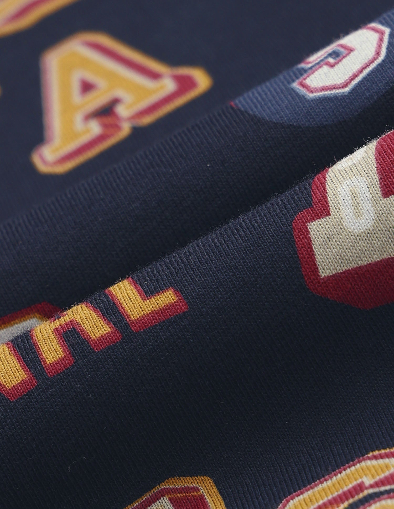 Boys Graphic Printed Pure Cotton T Shirt Navy - U.S. POLO ASSN. | Large