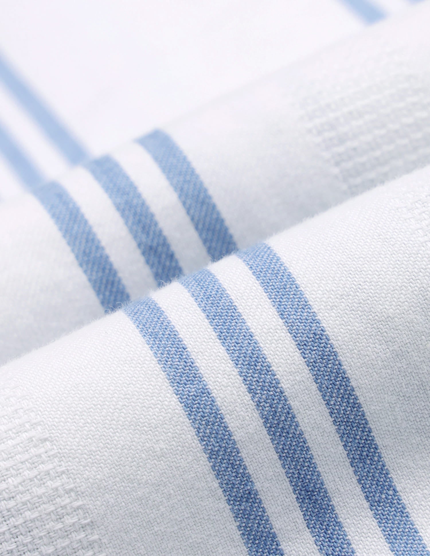 Vertical Striped Button Down Shirt Blue - U.S. Polo Assn. India | Large