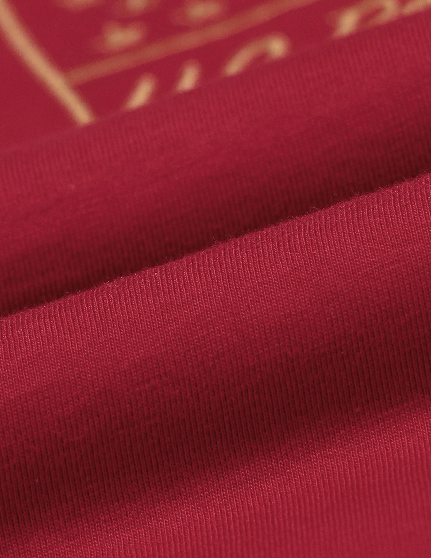 Brand Embroidered Regular T-Shirt Red - U.S. POLO ASSN. | Large