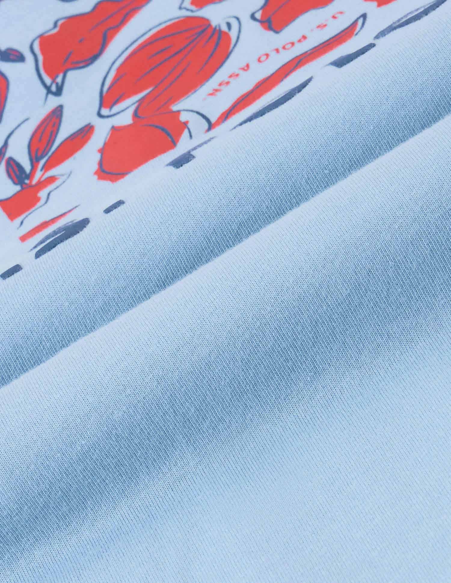 Boyfriend Fit Brand Printed T-Shirt Light Blue - U.S. POLO ASSN. | Large