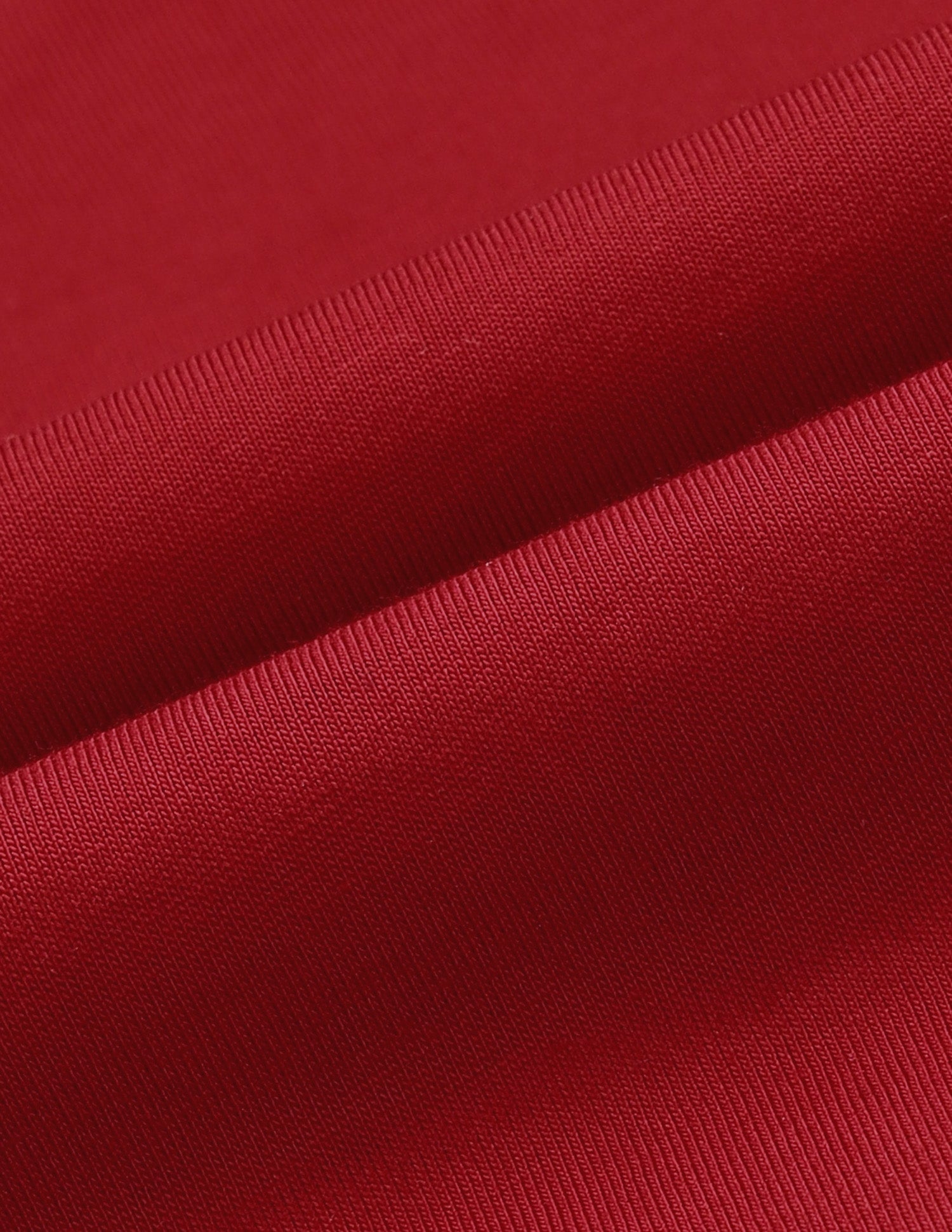Regular Fit Solid Polo Shirt Red - U.S. Polo Assn. India | Large