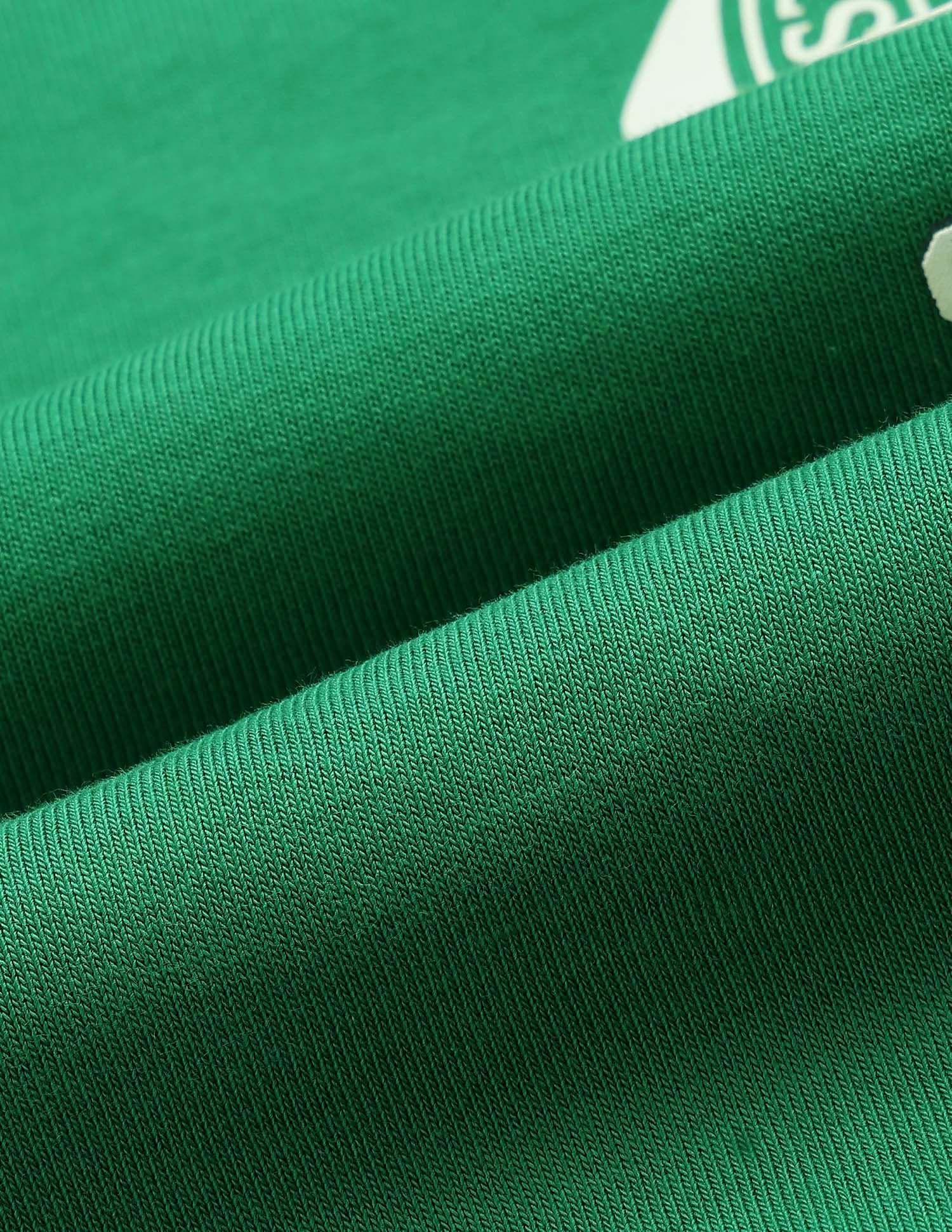 Drop Shoulder Brand Printed Sweatshirt Green - U.S. POLO ASSN. | Large