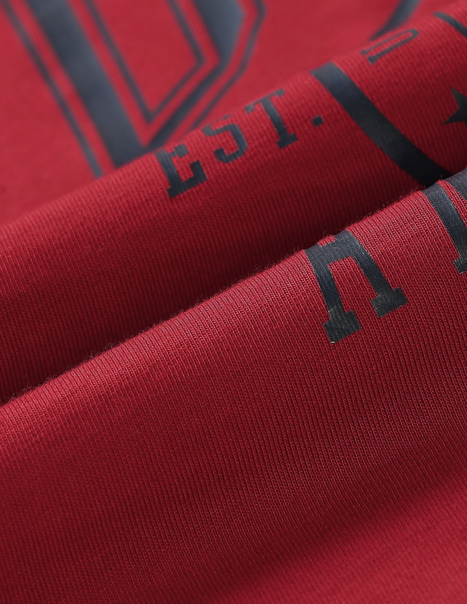 Graphic Brand Printed Regular Fit T-Shirt - Pack Of 2 Multi2 - U.S. Polo Assn. India | Large