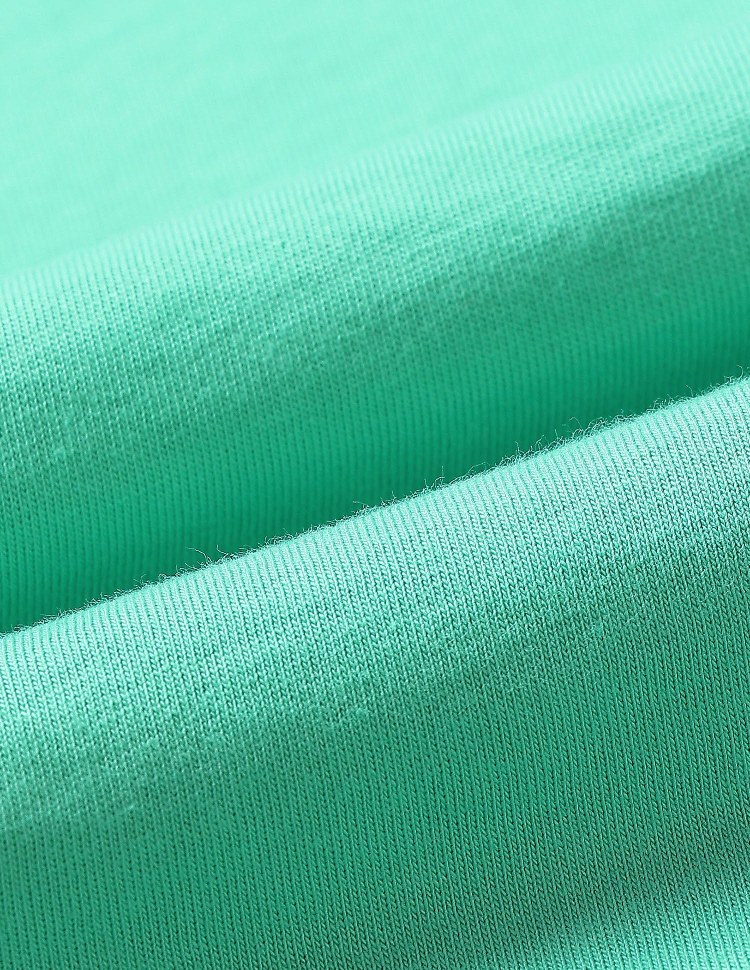 Solid Regular Fit T-Shirt Light Green - U.S. Polo Assn. India | Large