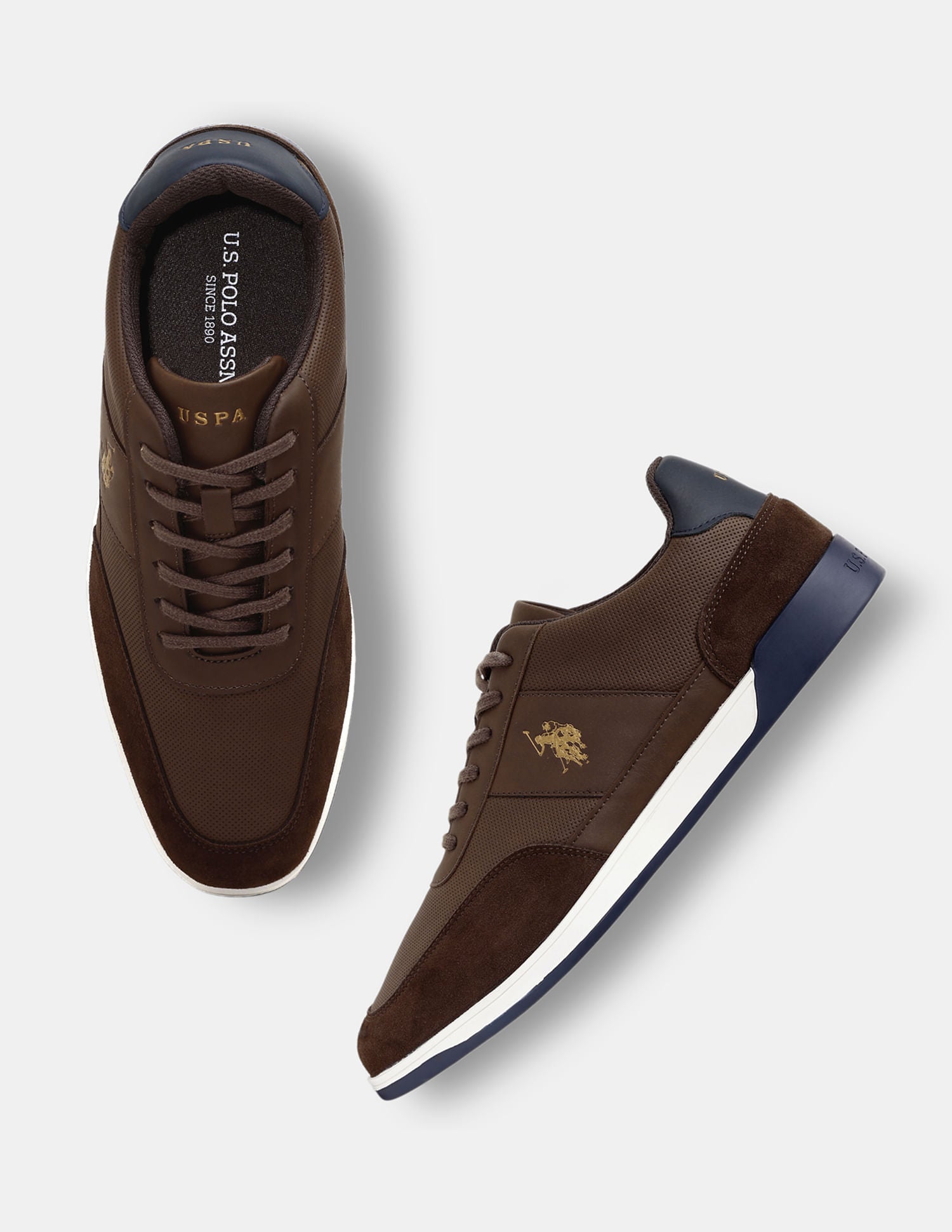 Men Moreno Suede Sneakers Brown - U.S. POLO ASSN. | Large